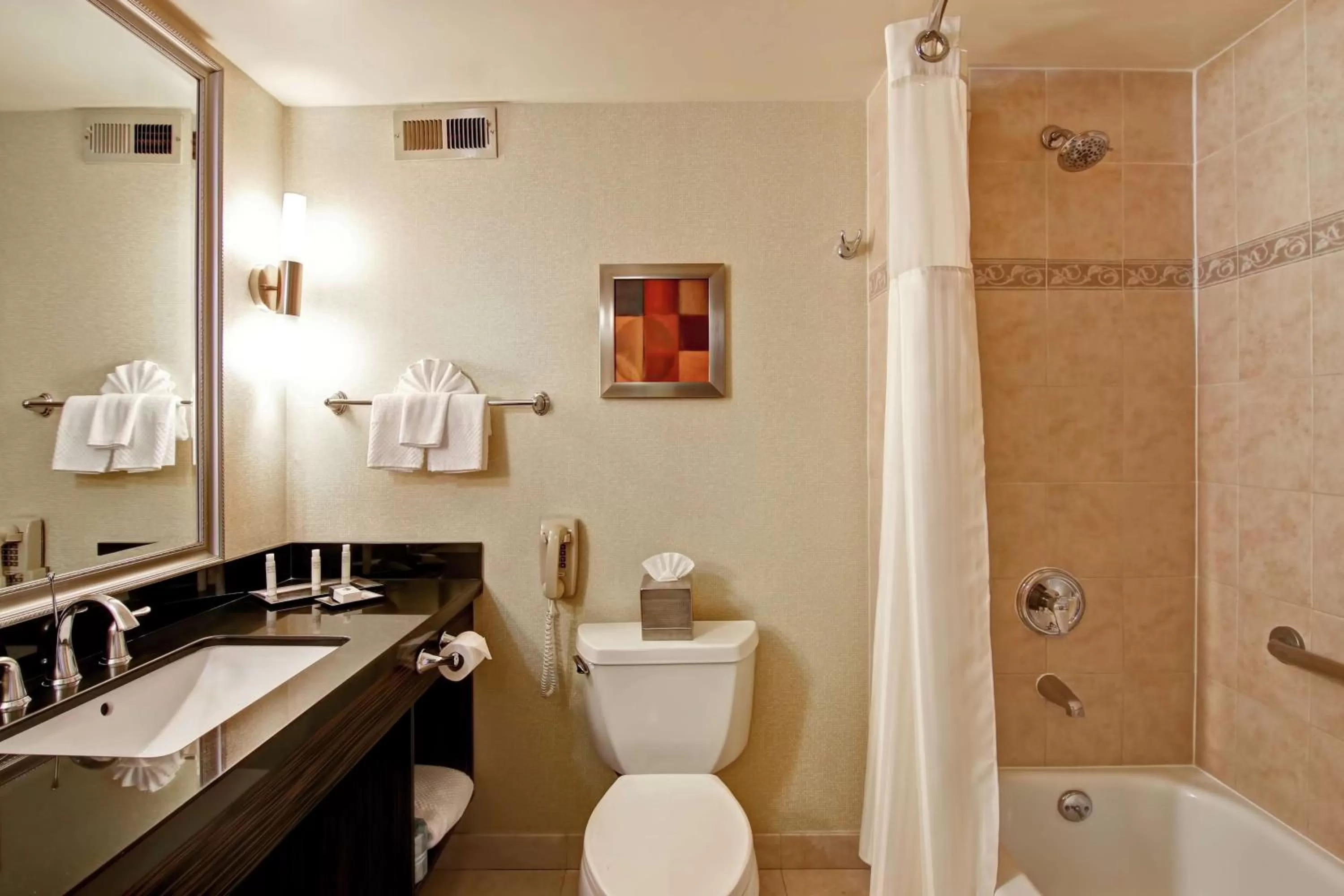 Bathroom in DoubleTree by Hilton Pleasanton at The Club