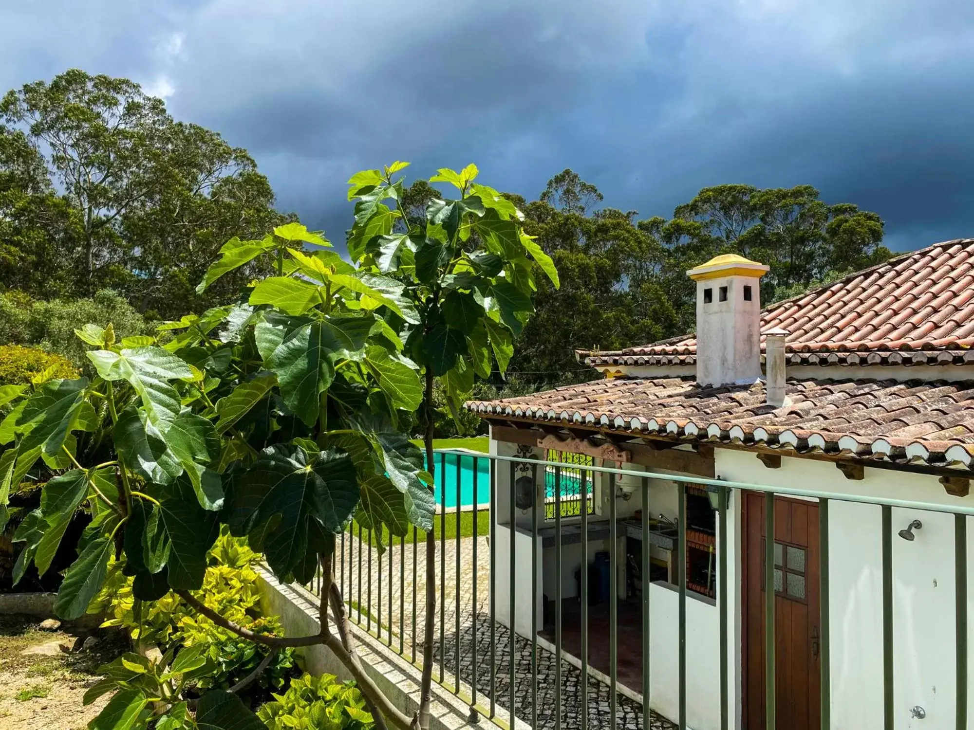 Garden view in Quinta do Pé Descalço Guesthouse Sintra