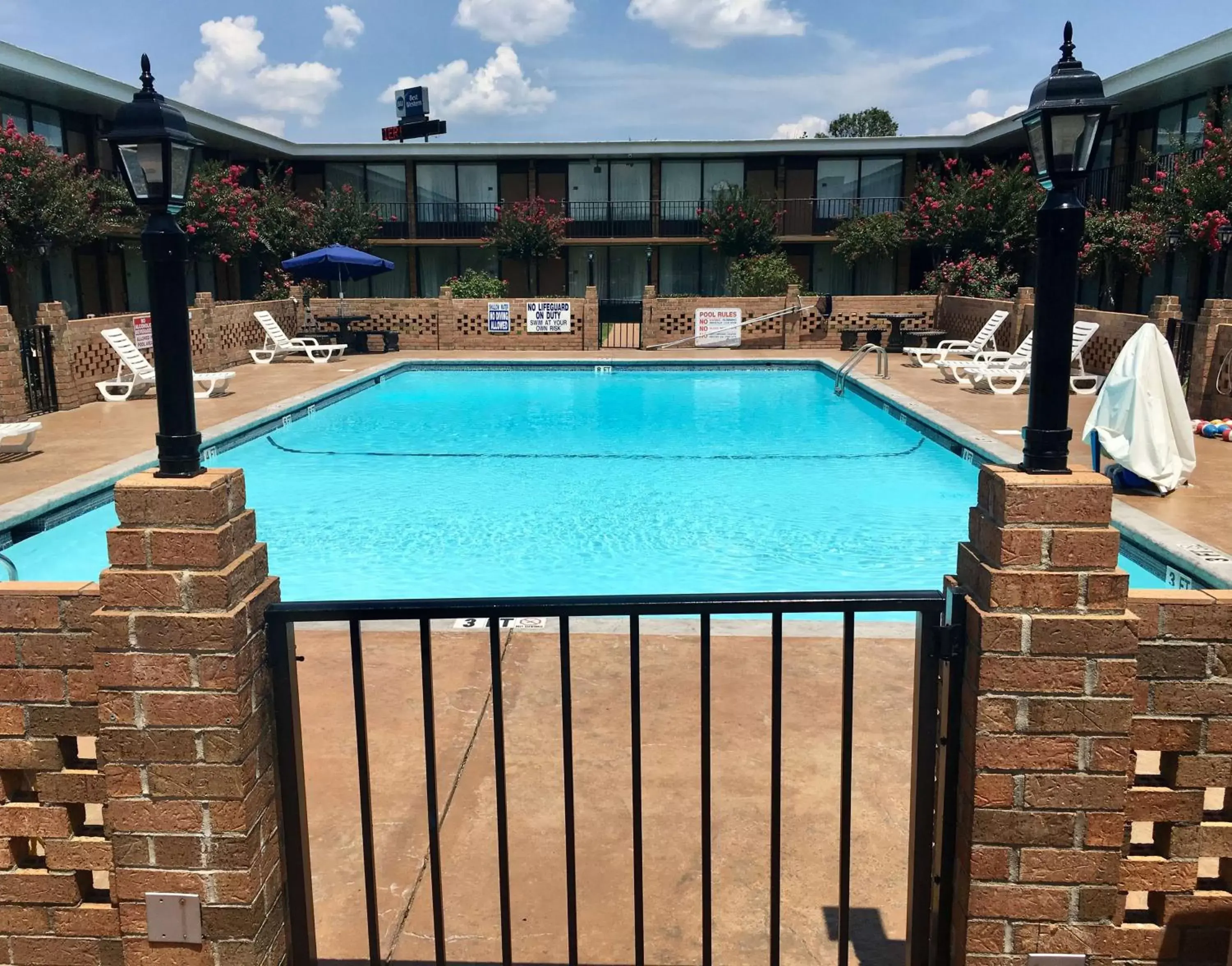 Activities, Swimming Pool in Best Western Greenville Airport