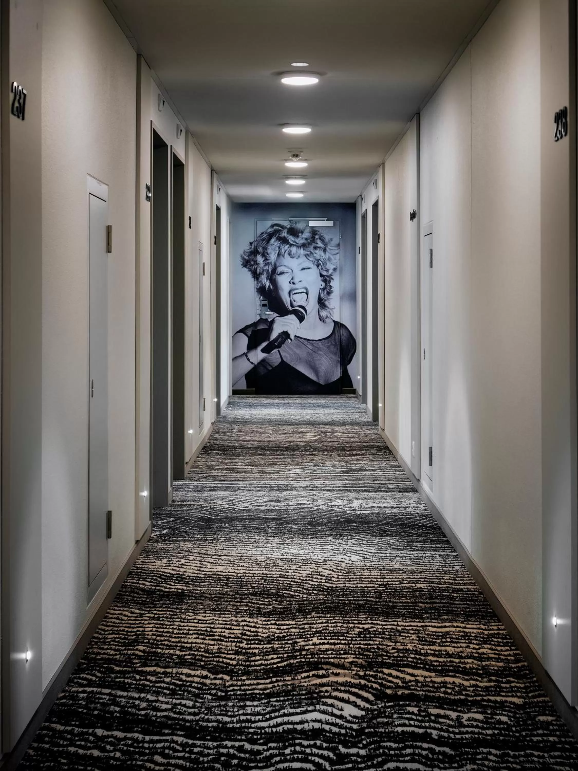 Decorative detail in ibis Locarno