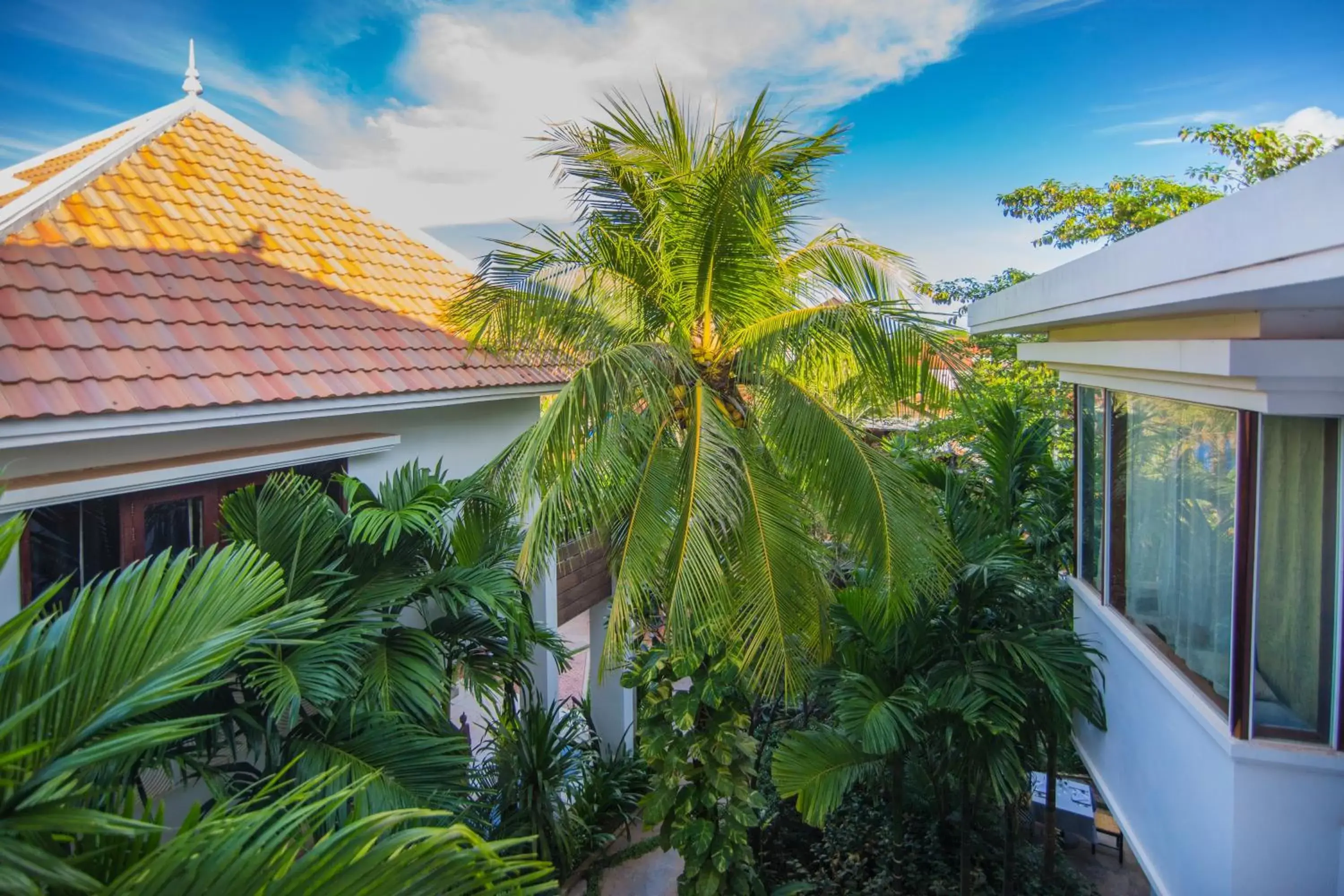 Garden view in Mane Boutique Hotel & Spa