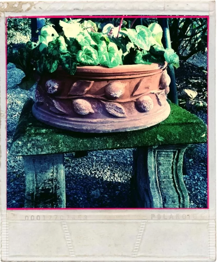 Other in Le Querce Hotel