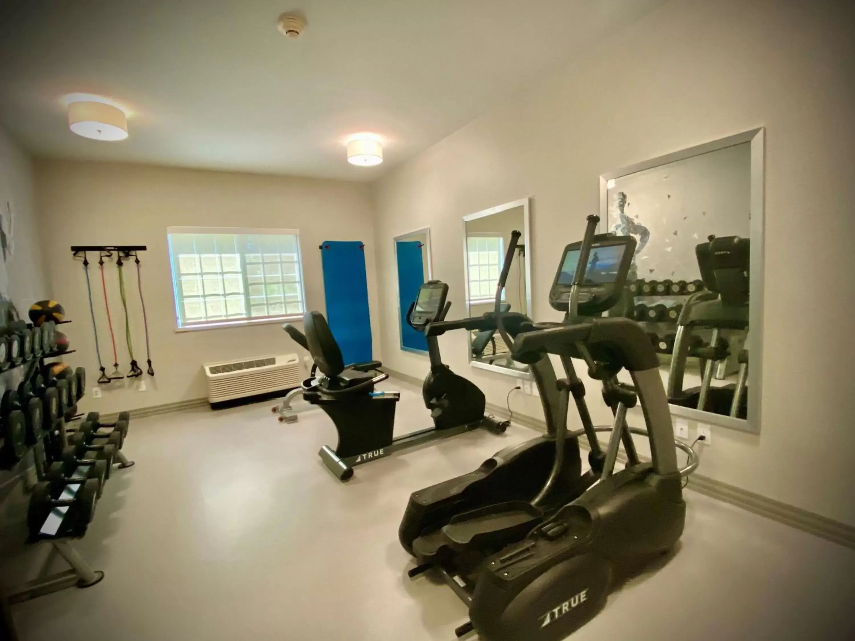Activities, Fitness Center/Facilities in Best Western Brockport Inn & Suites