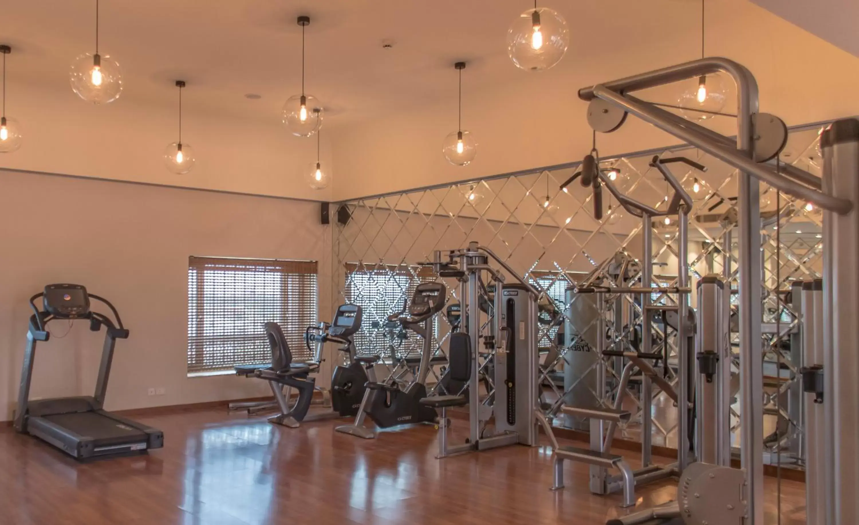 Fitness centre/facilities, Fitness Center/Facilities in The Laxmi Niwas Palace