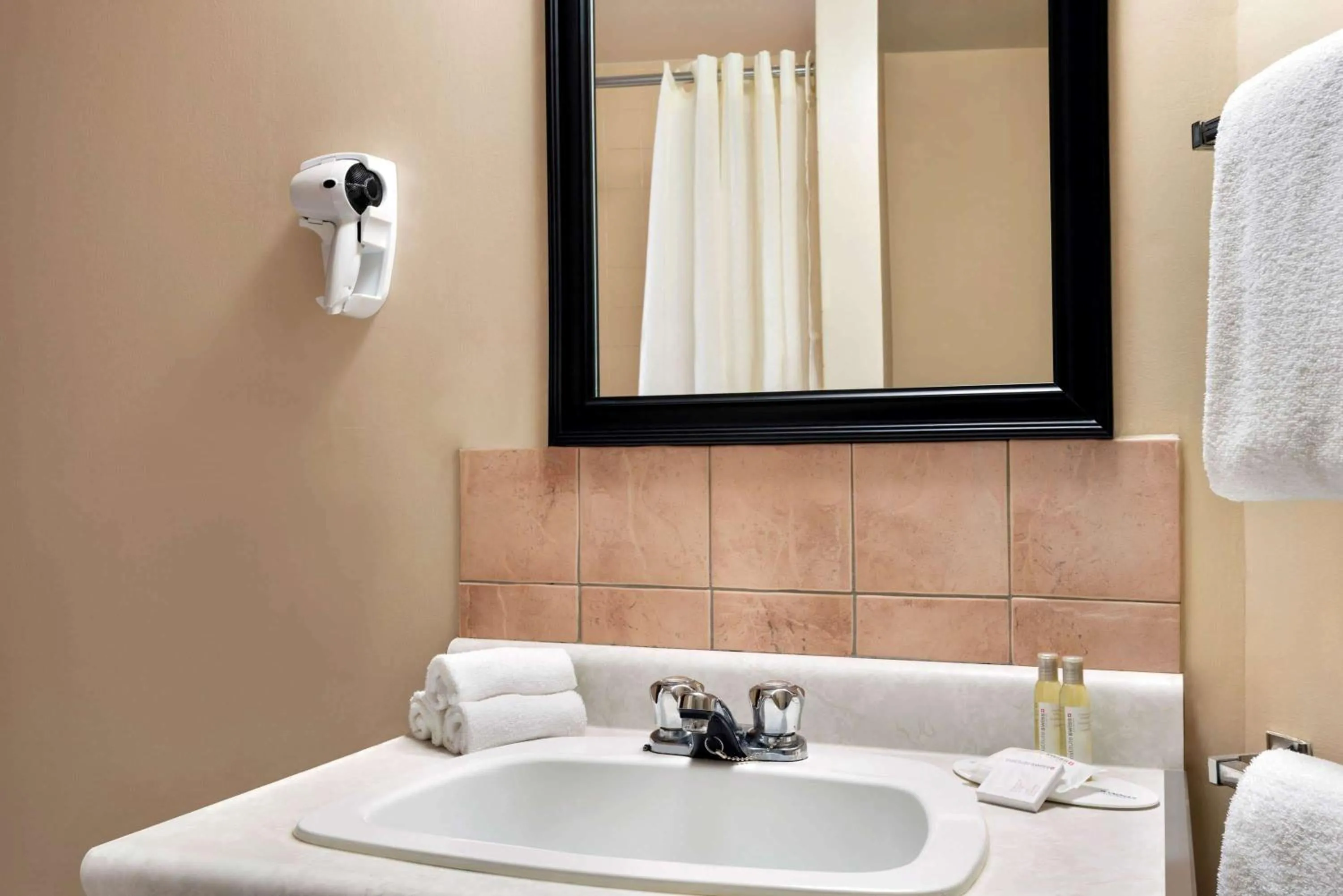 Bathroom in Thriftlodge Edmonton