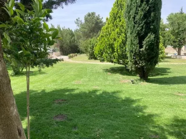 Garden in Mas Galinette