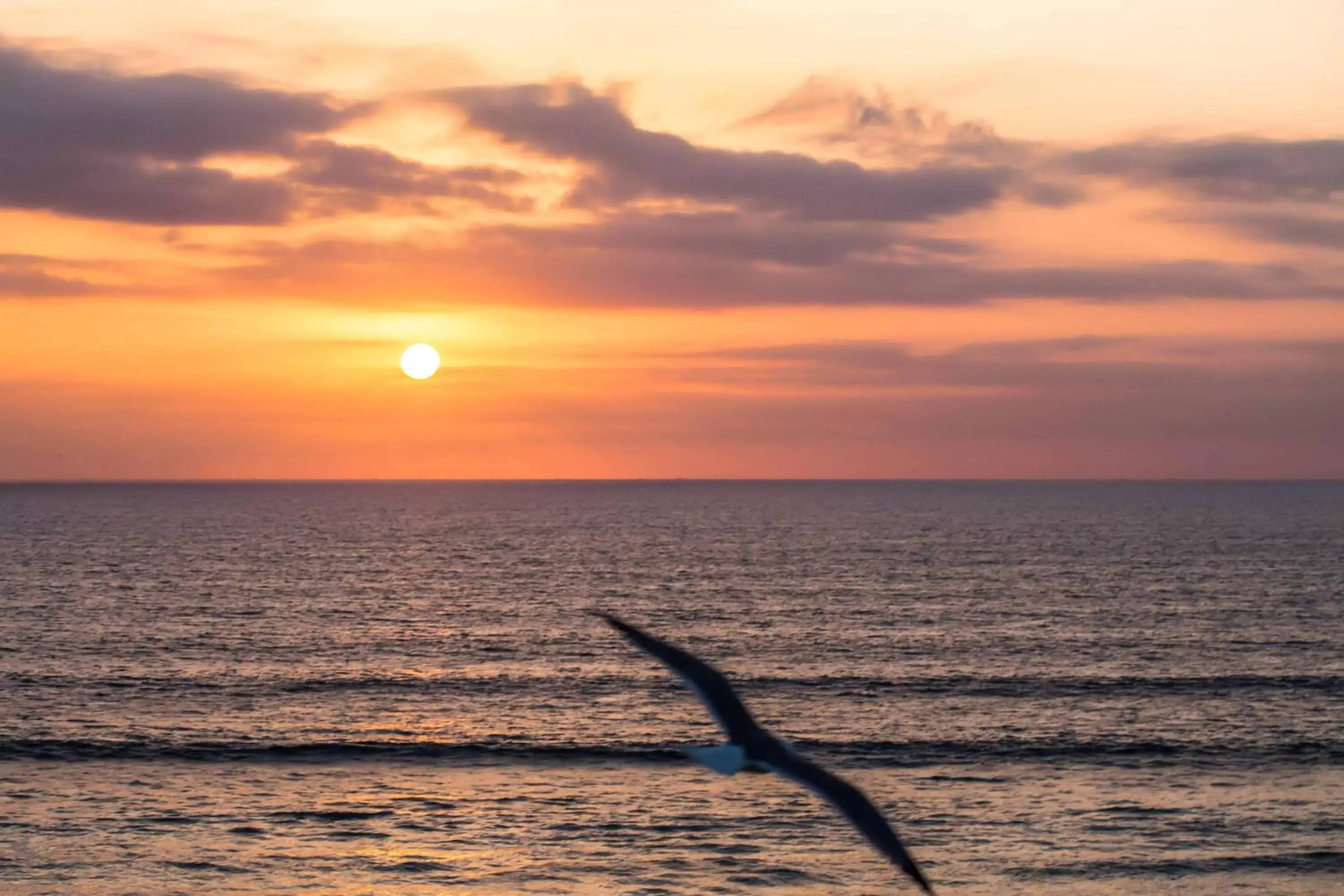 Sea view, Sunrise/Sunset in Atlas Amadil Beach Hotel