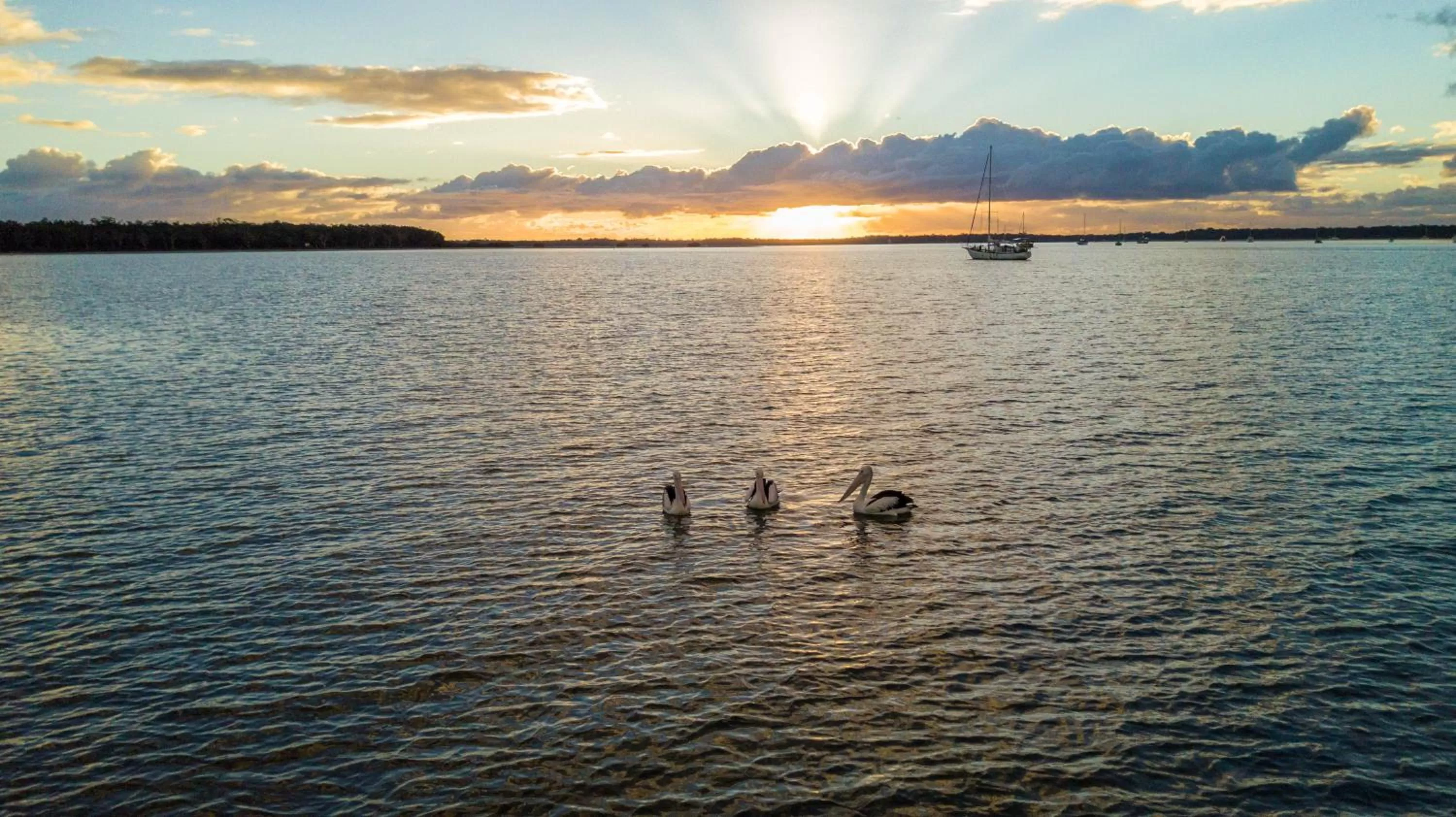 Sea view in Tin Can Bay Motel