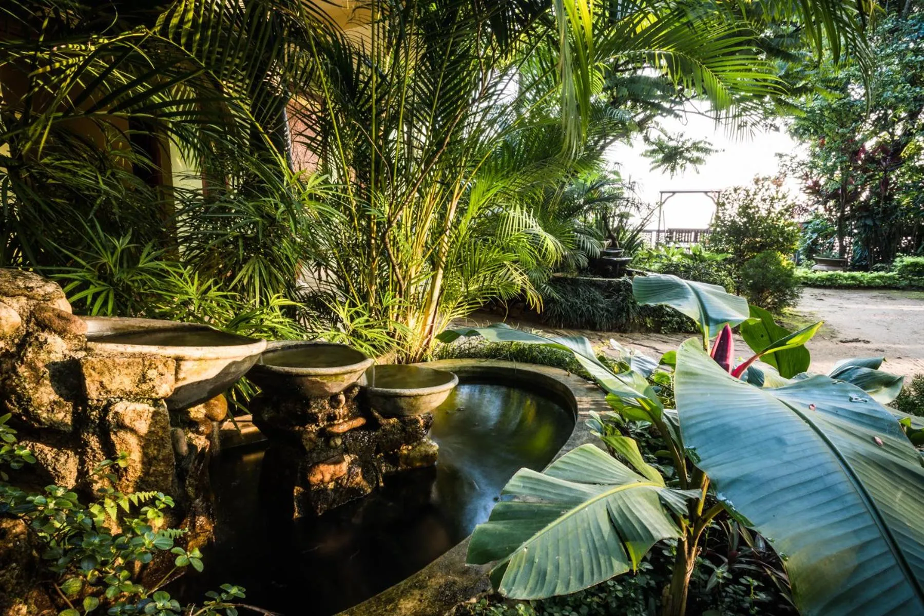 Garden in Yasmin Hill Longevity Oasis