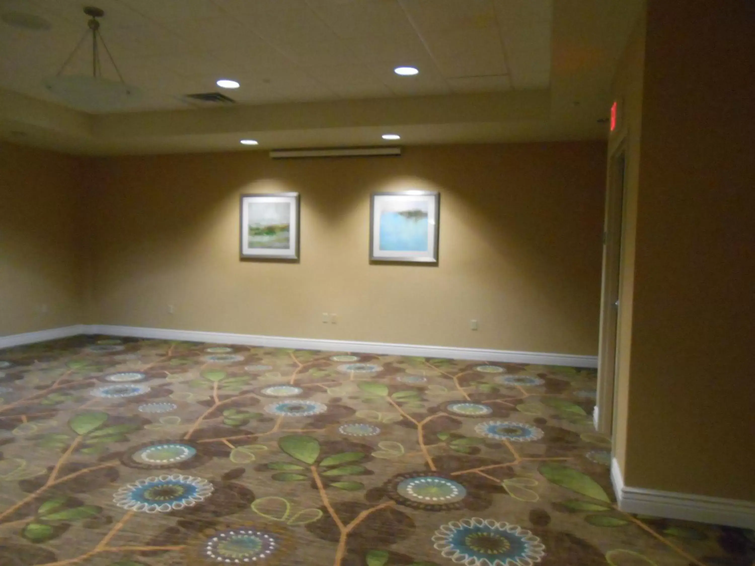 Spa and wellness centre/facilities in Holiday Inn Carbondale - Conference Center, an IHG Hotel