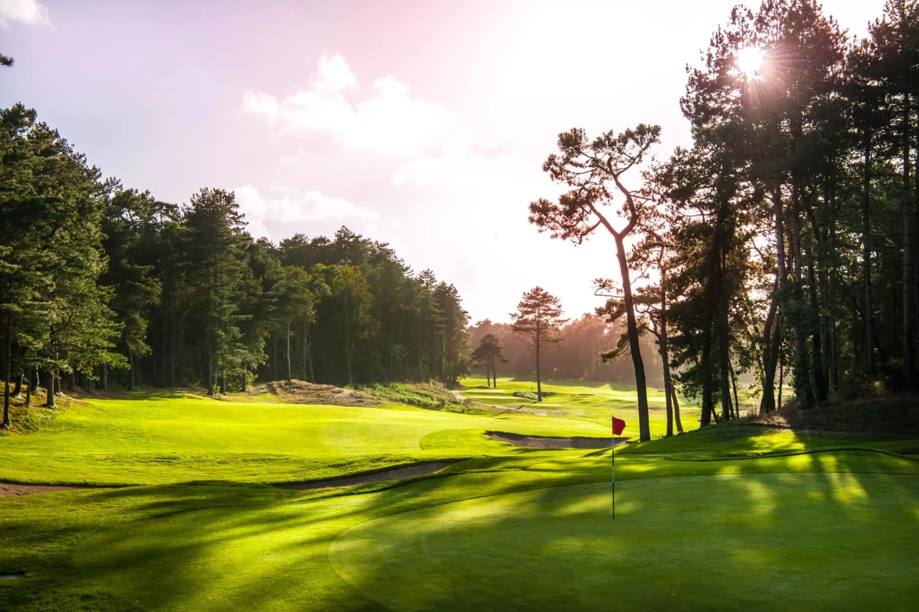 Natural landscape in Le Regina Hôtel restaurant