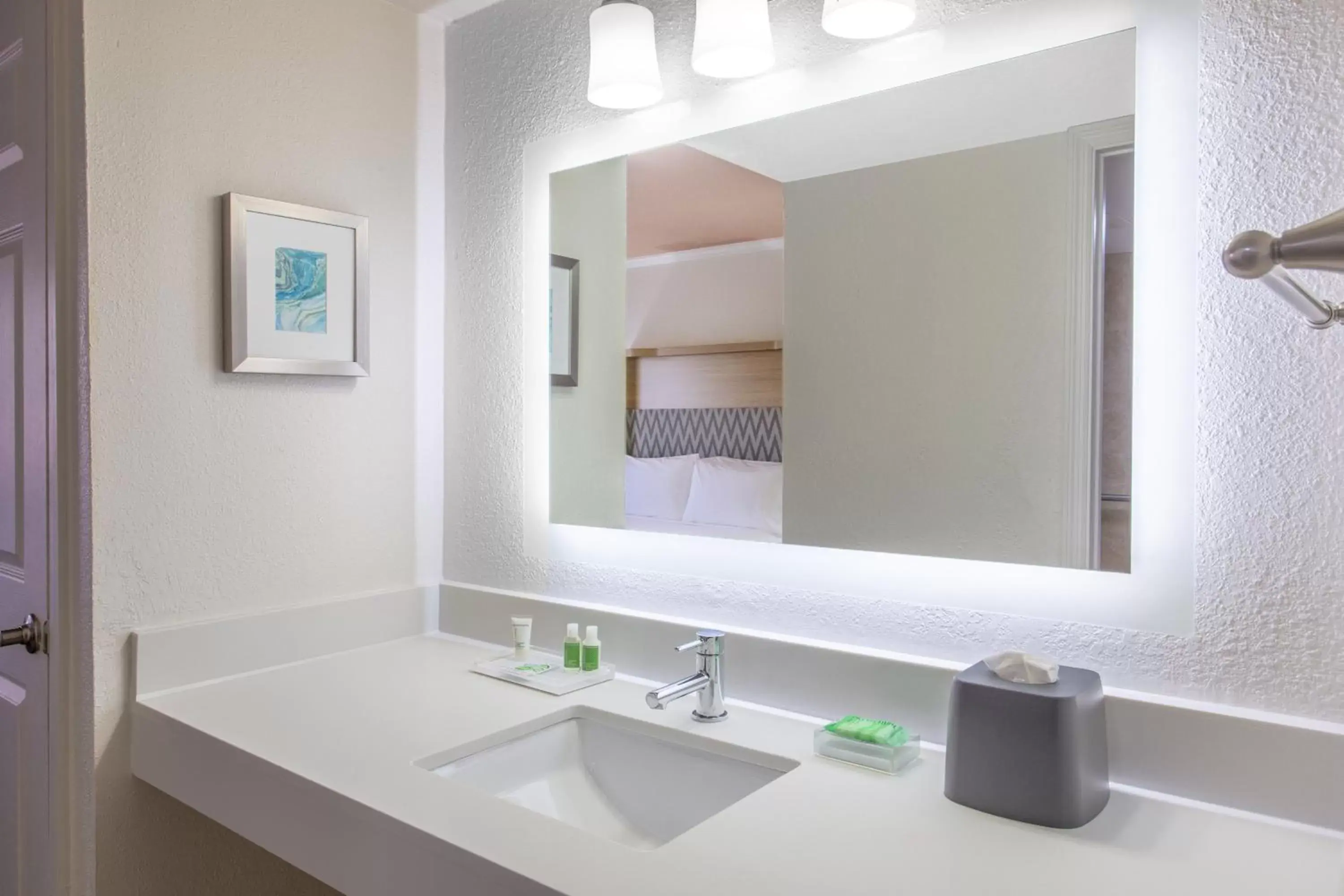 Photo of the whole room, Bathroom in Holiday Inn & Suites Boca Raton - North