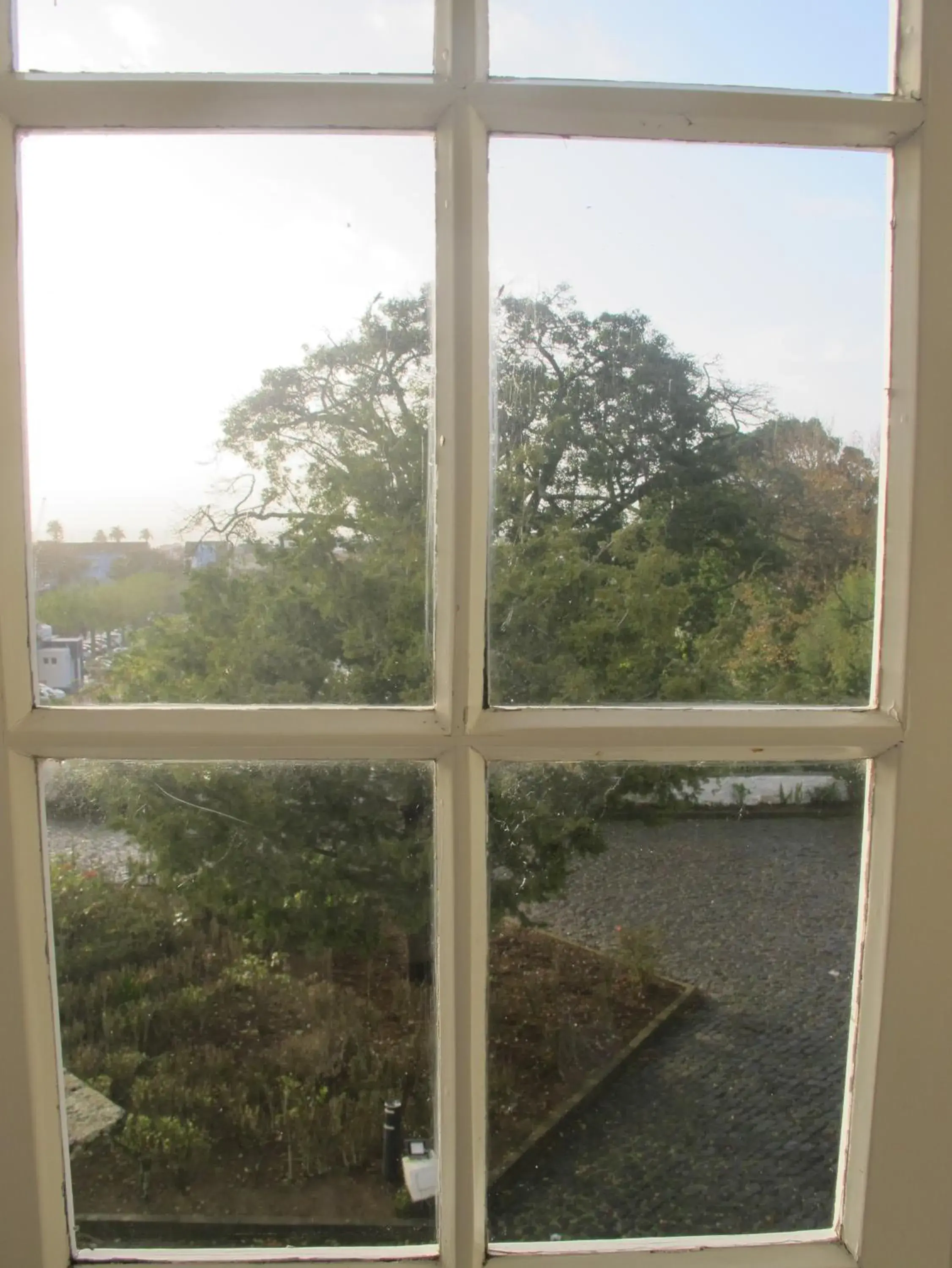 Garden view in Azores Youth Hostels - Sao Miguel