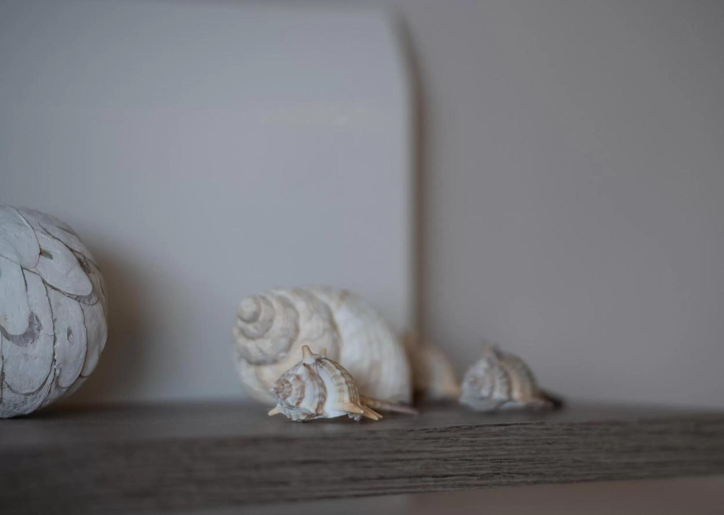 Property building in Villa Sara