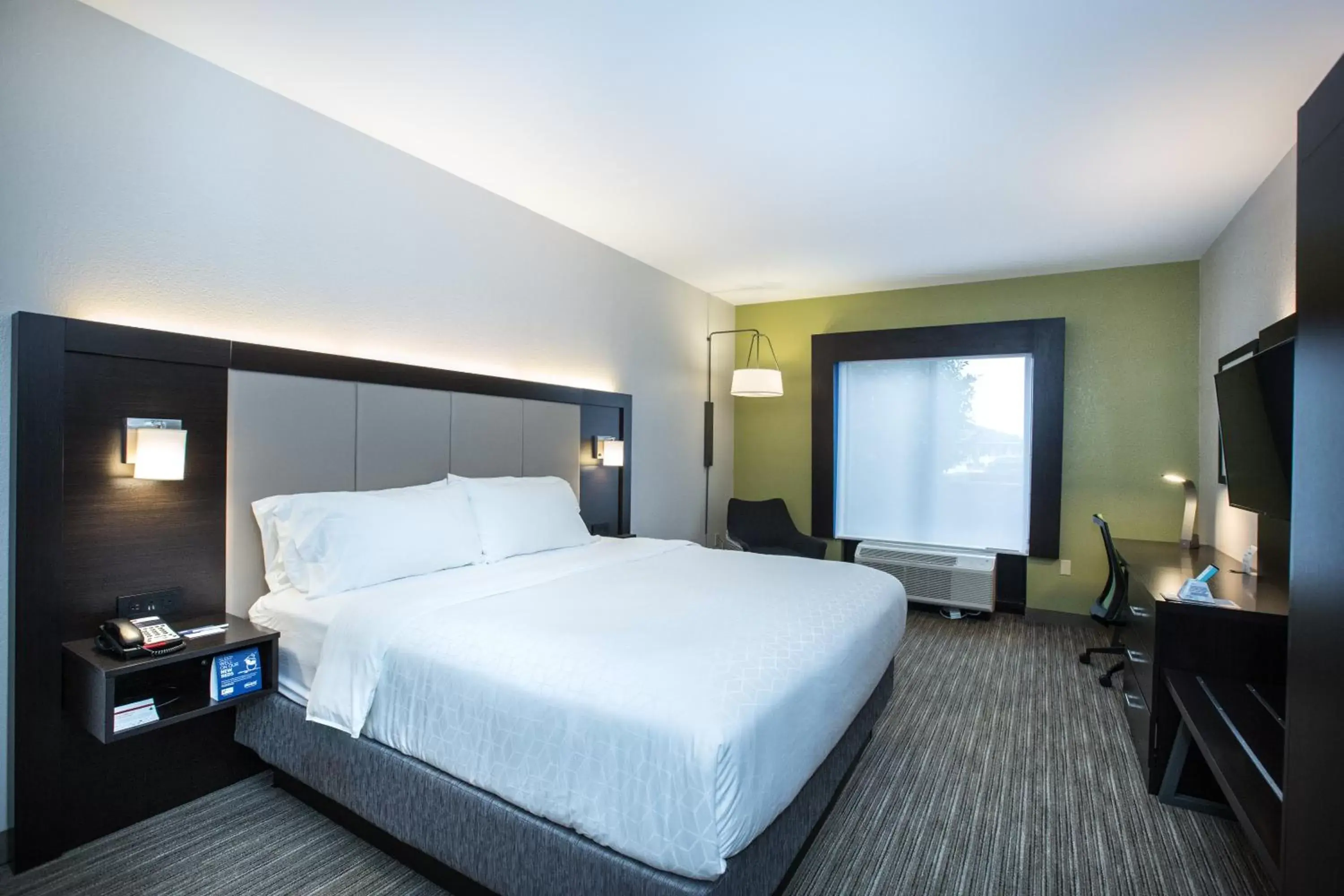 Photo of the whole room, Bed in Holiday Inn Express & Suites Tupelo, an IHG Hotel