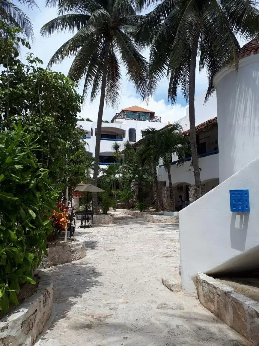 Property Building in Pelicano Inn Playa del Carmen - Beachfront Hotel
