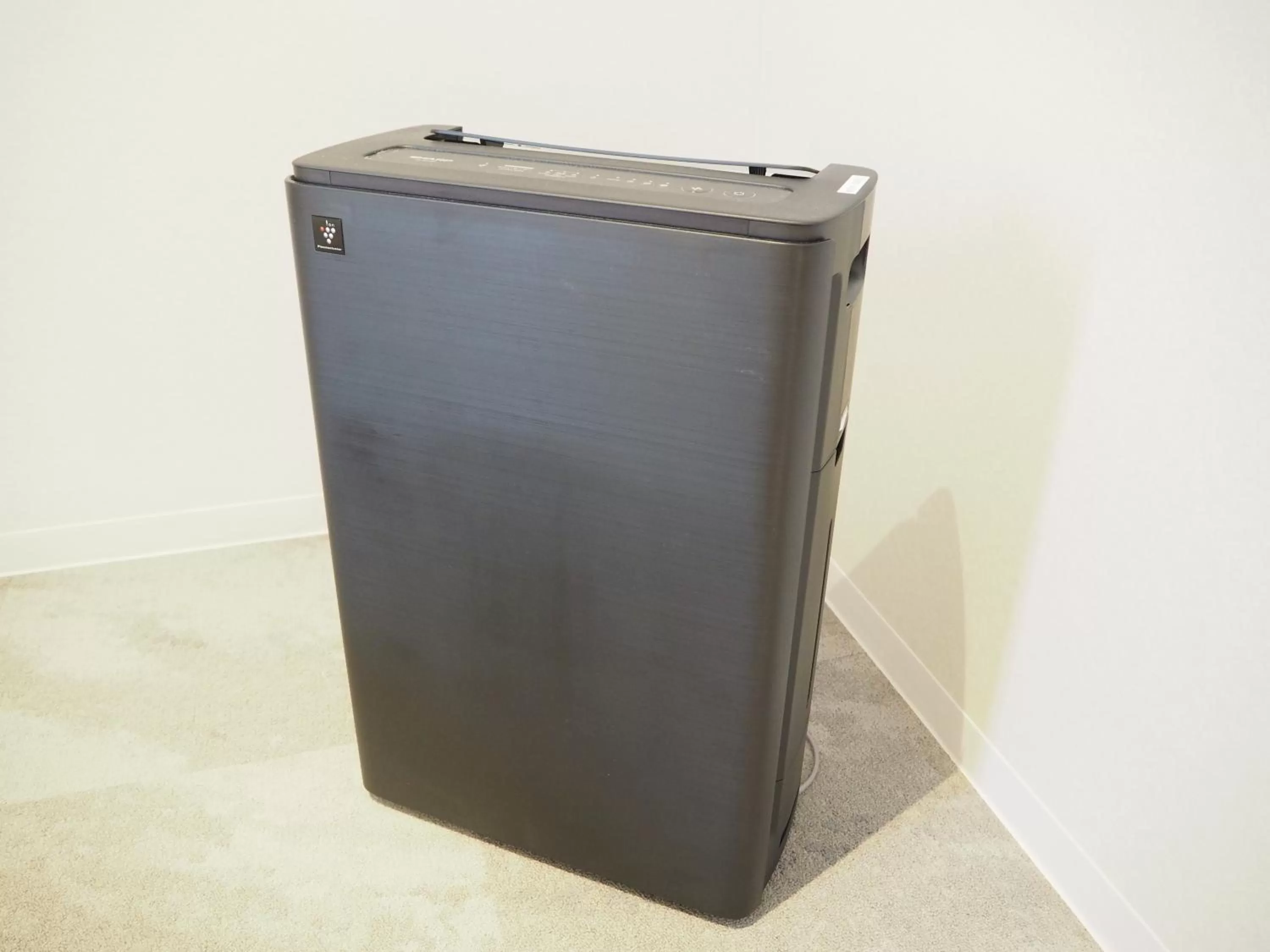 Decorative detail in Henn na Hotel Premier Nara