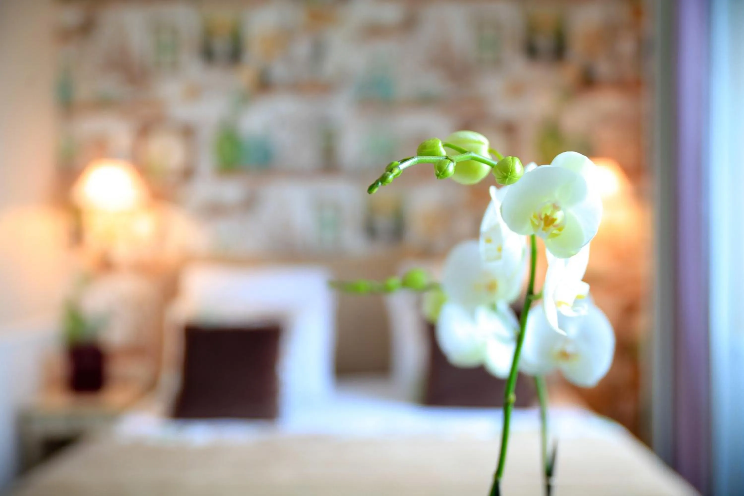 Decorative detail, Bed in Hôtel Relais Saint Jacques Paris