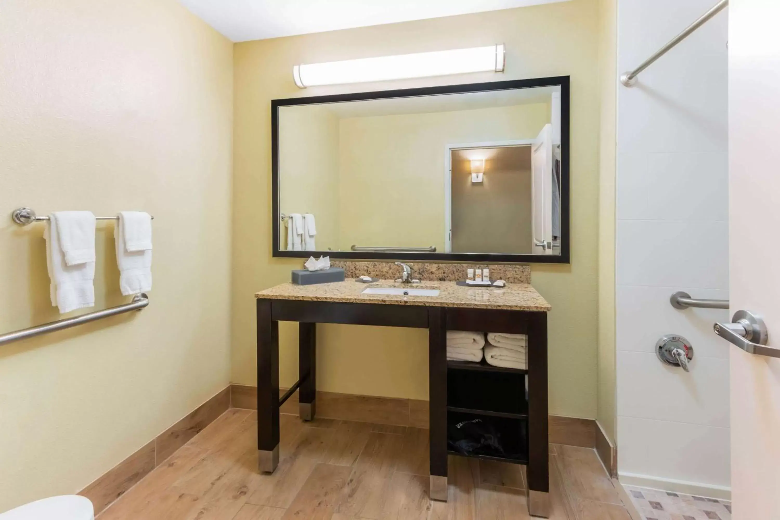 Shower, Bathroom in La Quinta by Wyndham Carlsbad