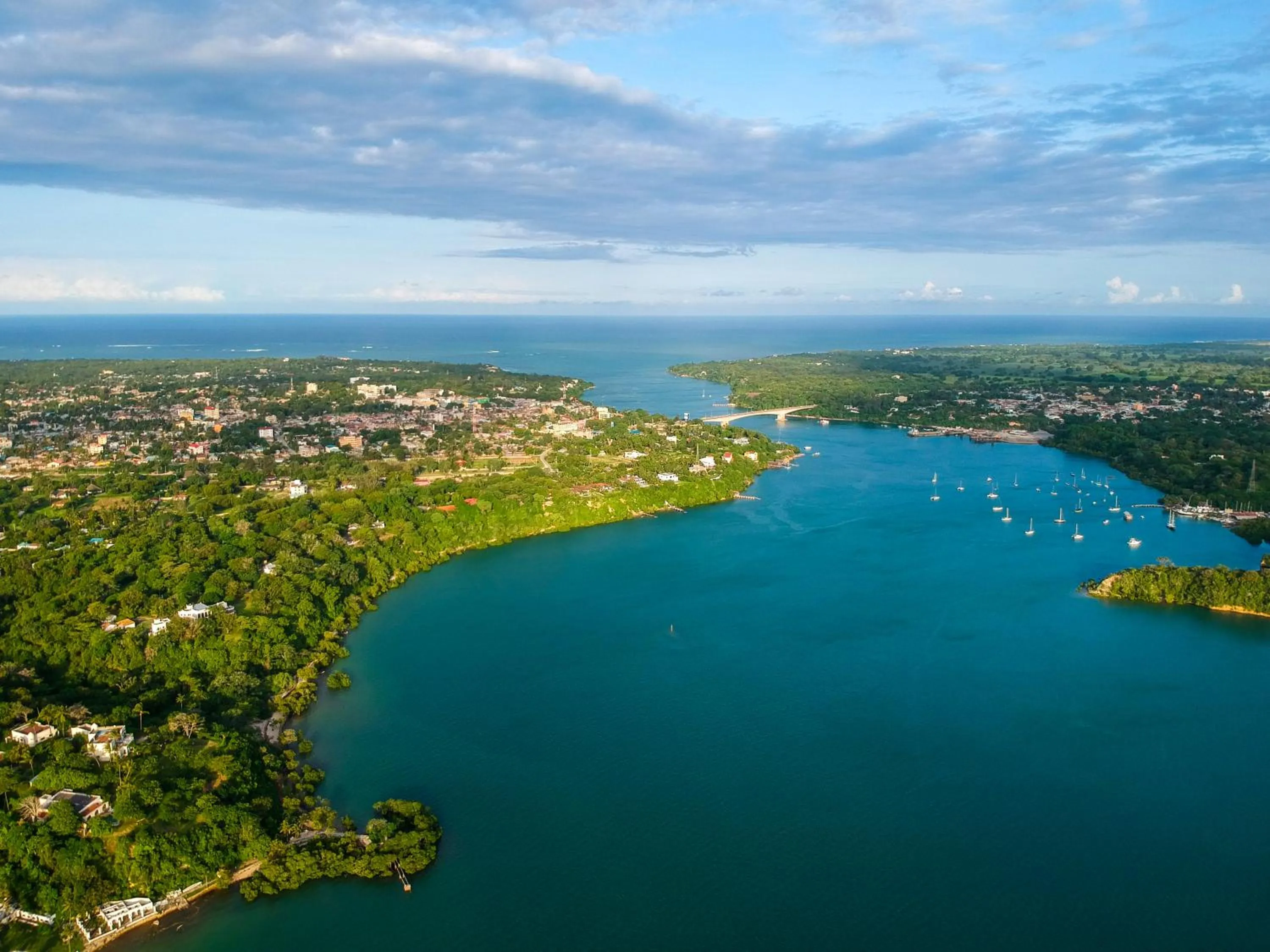 Natural landscape in Distant Relatives Ecolodge & Backpackers