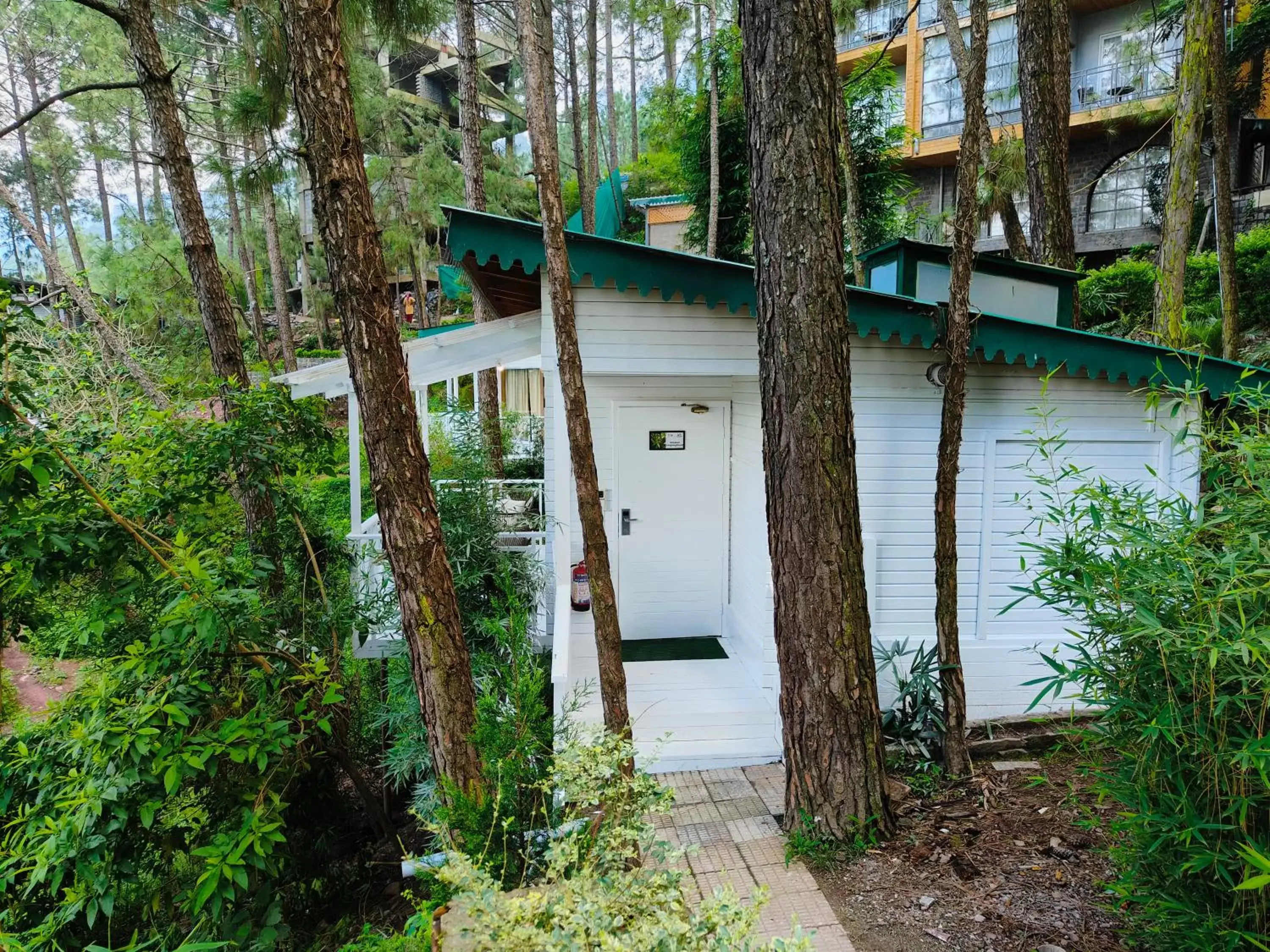 View (from property/room), Property Building in Kasauli Hills Resort