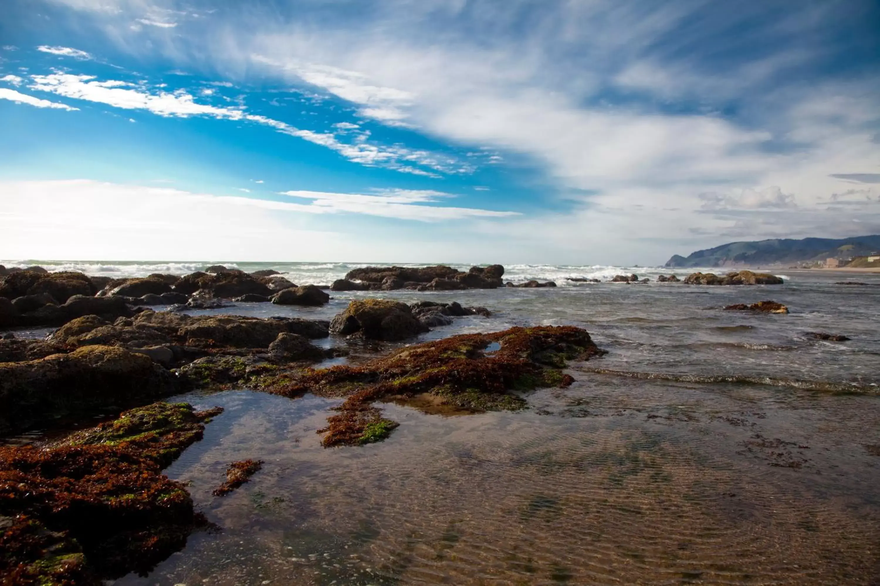 Beach in The Coho Oceanfront Lodge