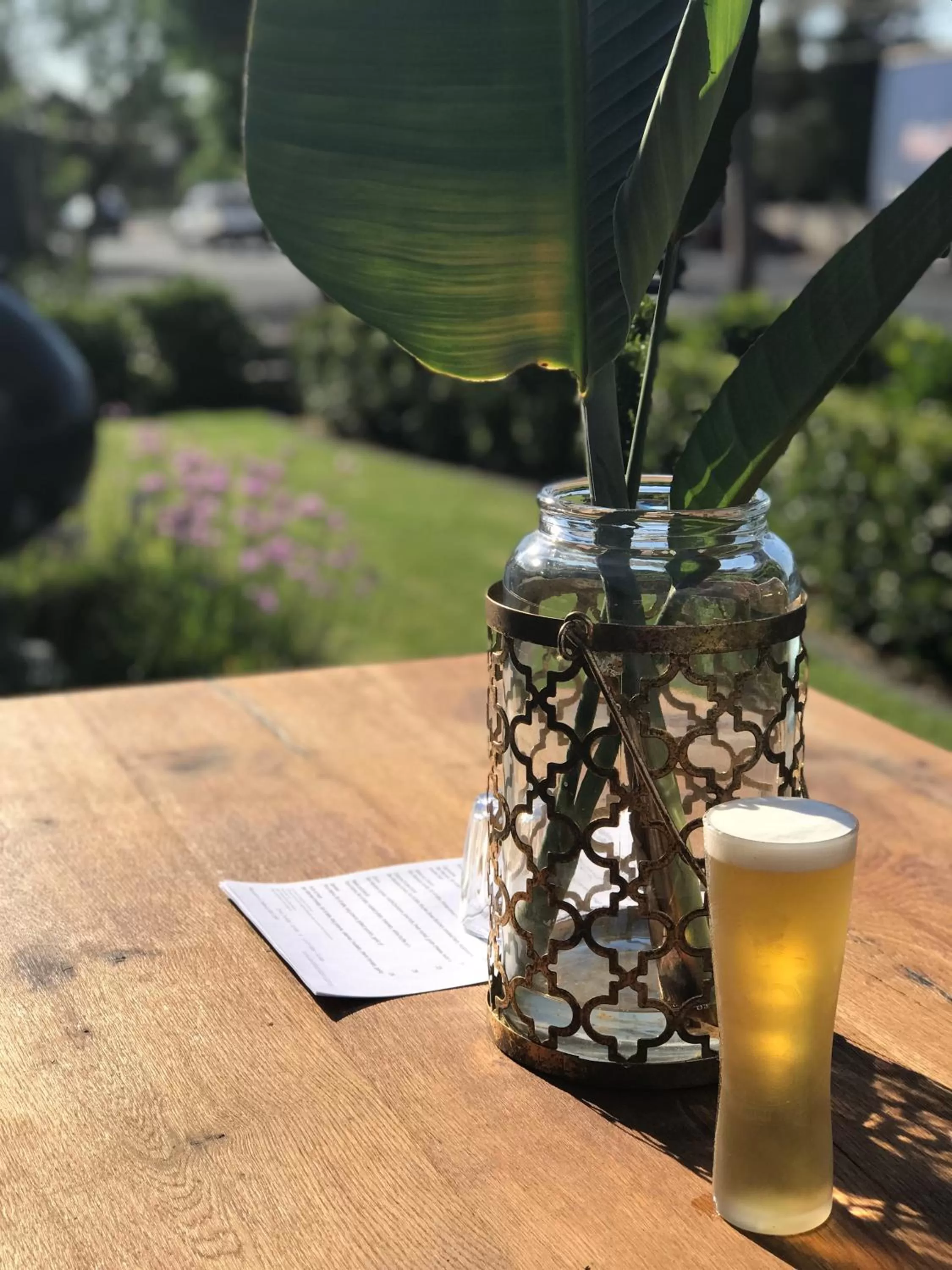 Garden view in Cascades Motor Inn