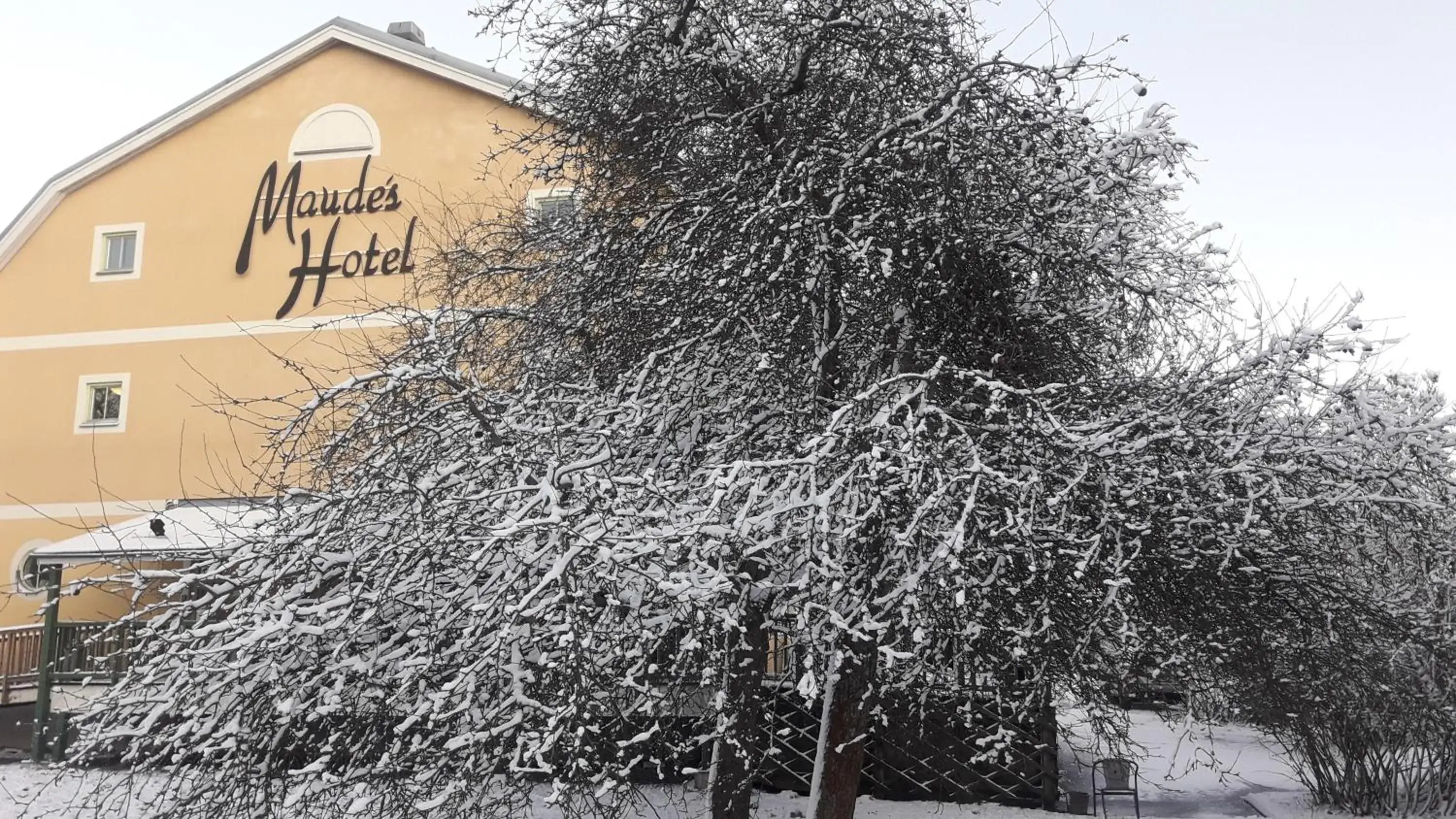 Day, Winter in Maude´s Hotel Enskede Stockholm
