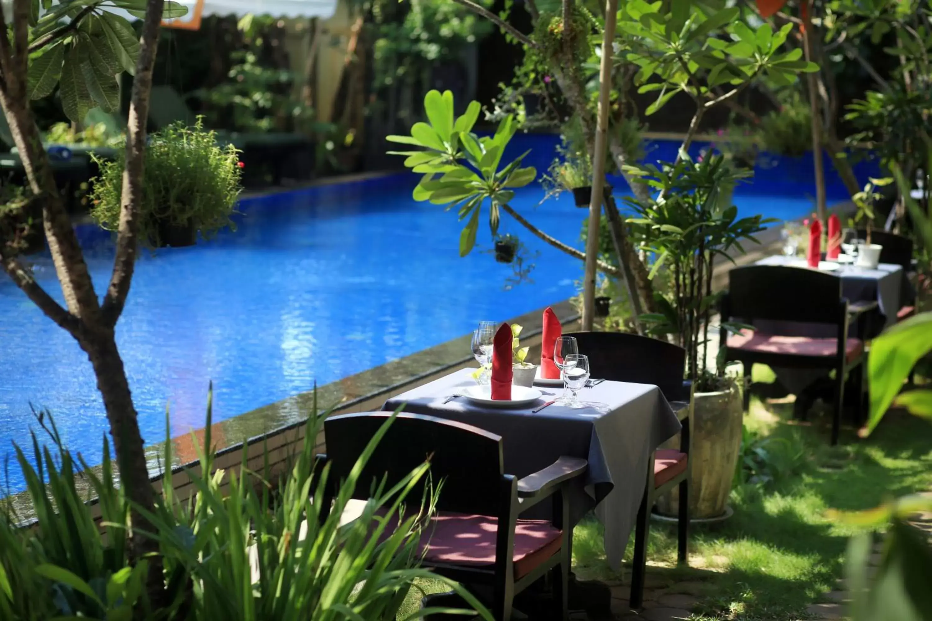 Swimming pool, Pool View in Khmer Mansion Boutique Hotel