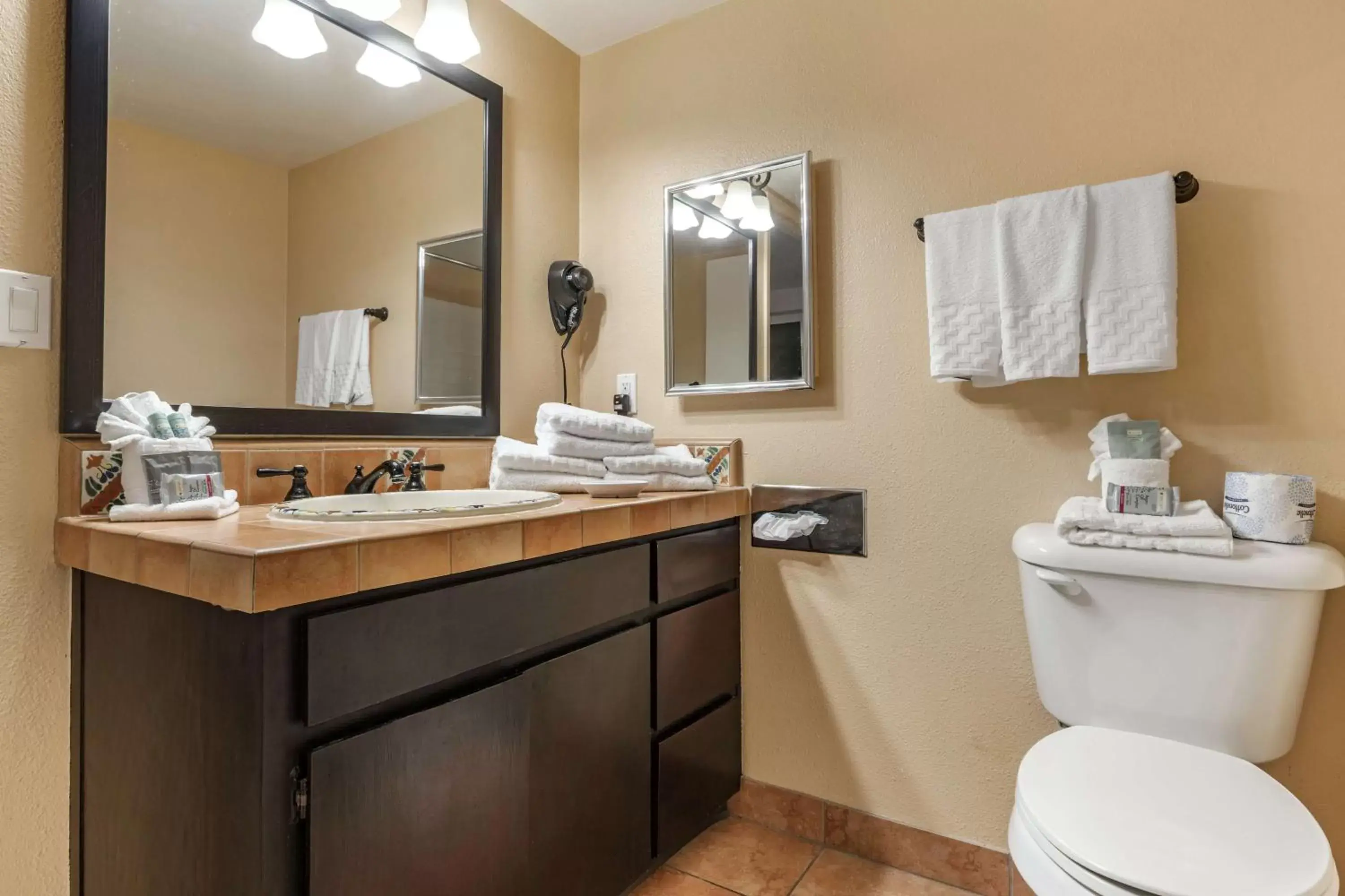 Bathroom in Best Western Rose Garden Inn