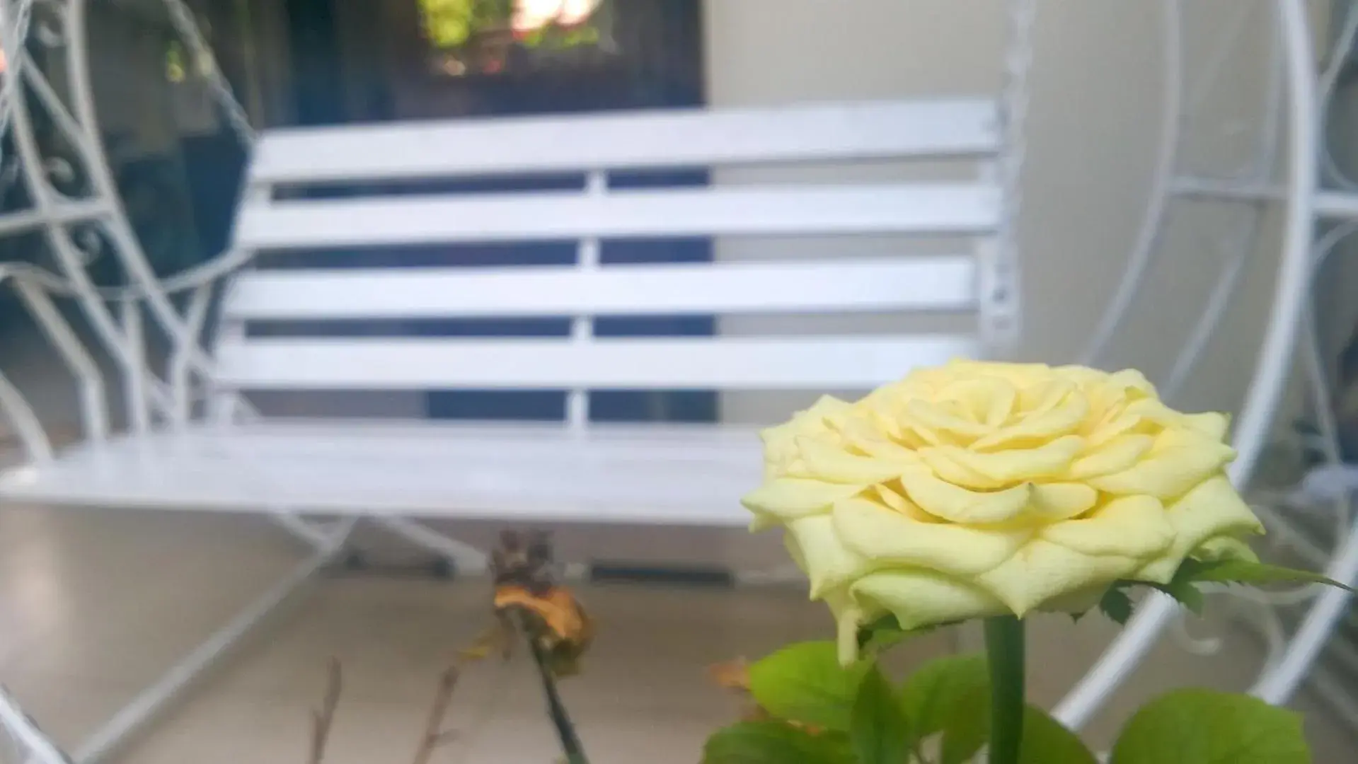 Sac Xanh Homestay Sac Xanh Homestay