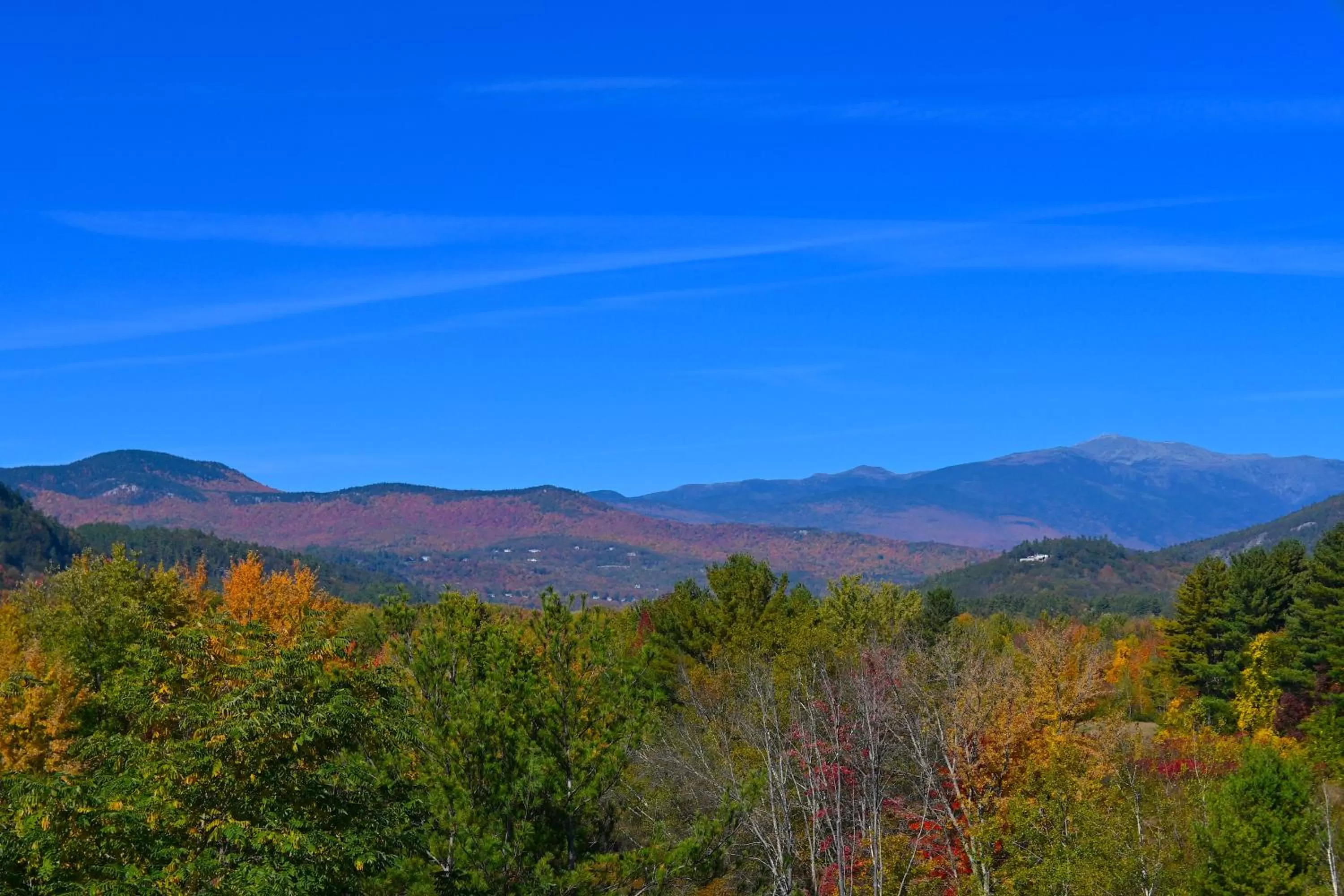 Natural landscape in The Lodge at Jackson Village