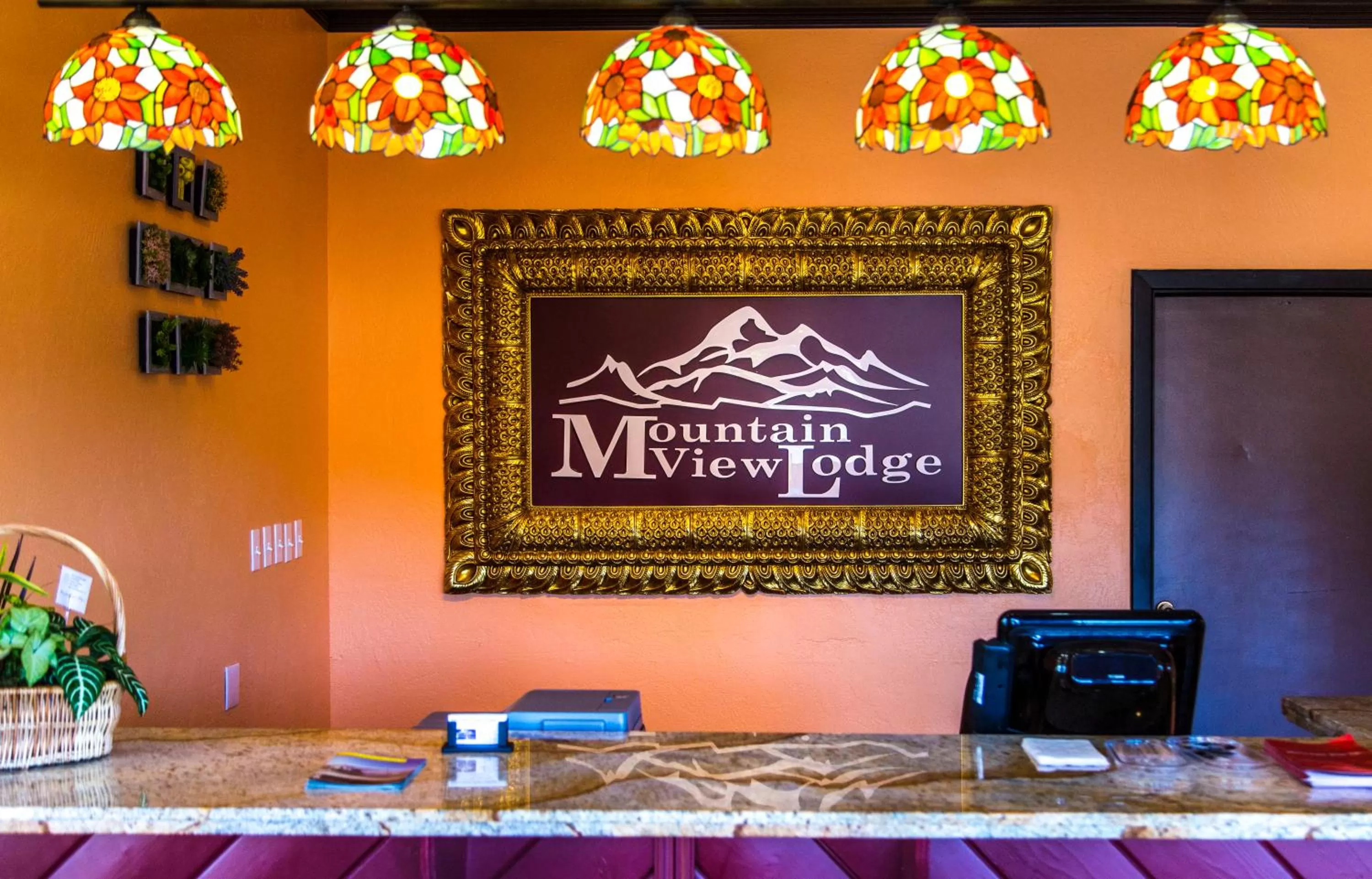 Lobby or reception in Mountain View Lodge