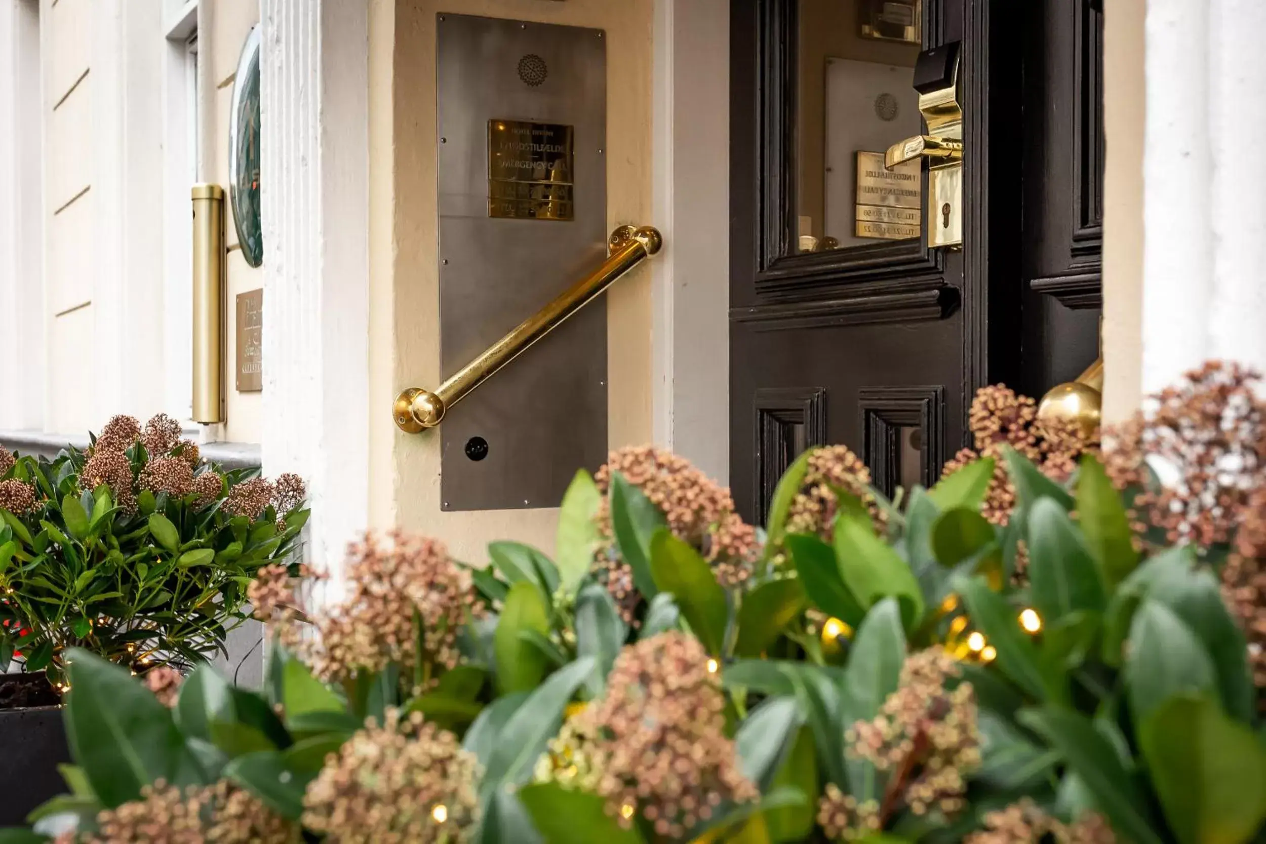 Facade/entrance in Hotel Tiffany