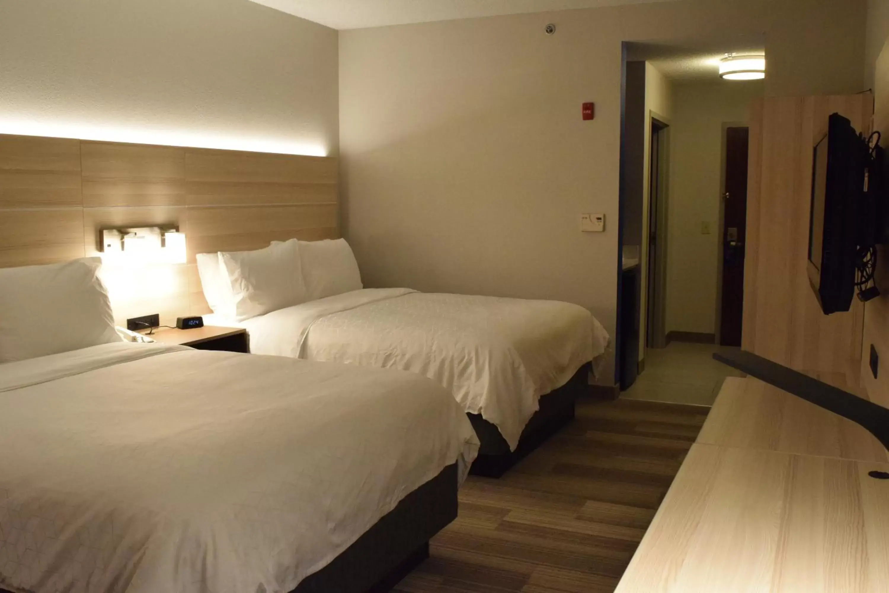 Photo of the whole room, Bed in Holiday Inn Express Hotel & Suites Rochester Webster, an IHG Hotel