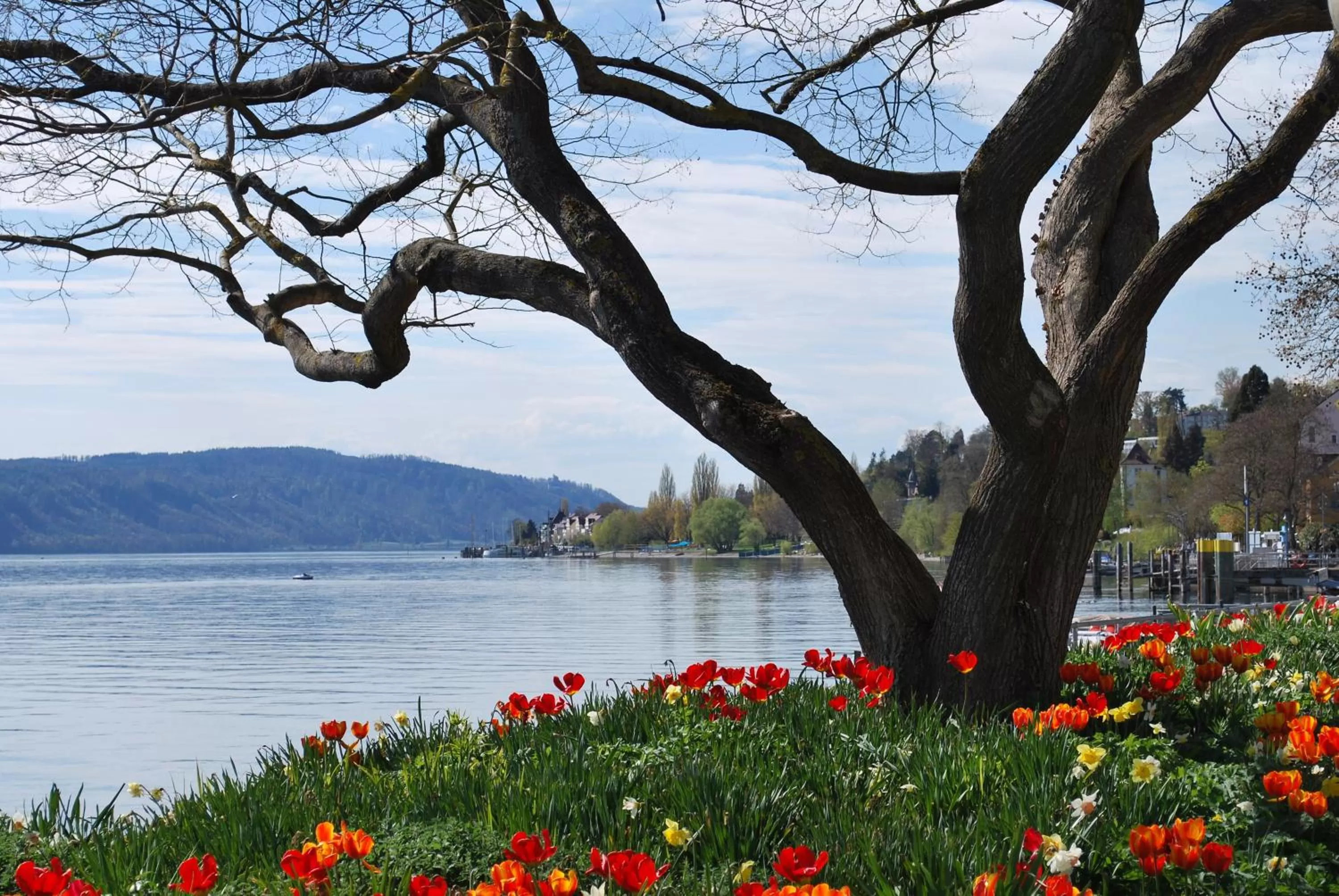 Area and facilities in Bürgerbräu