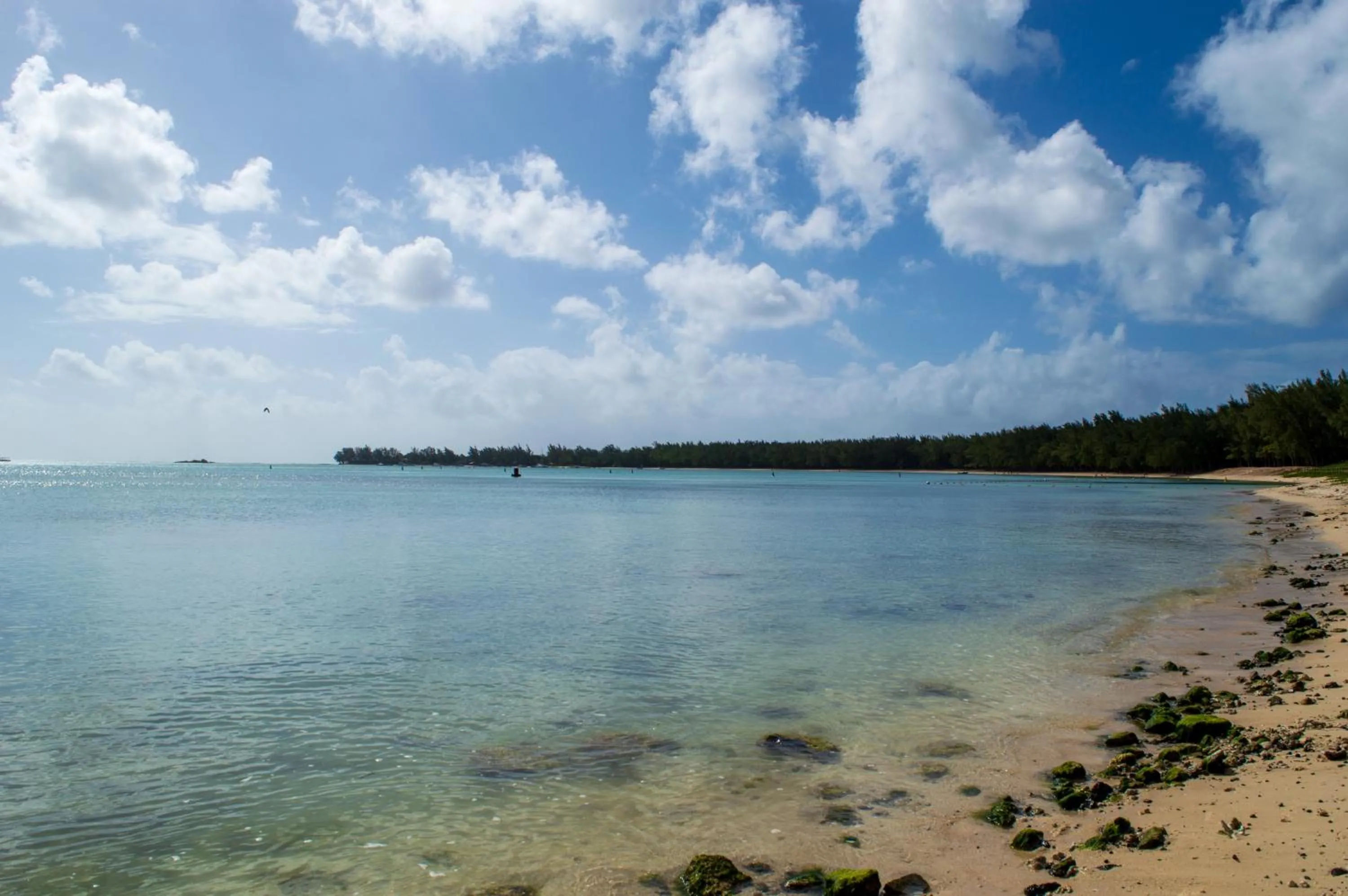 Beach in Flowers of Paradise