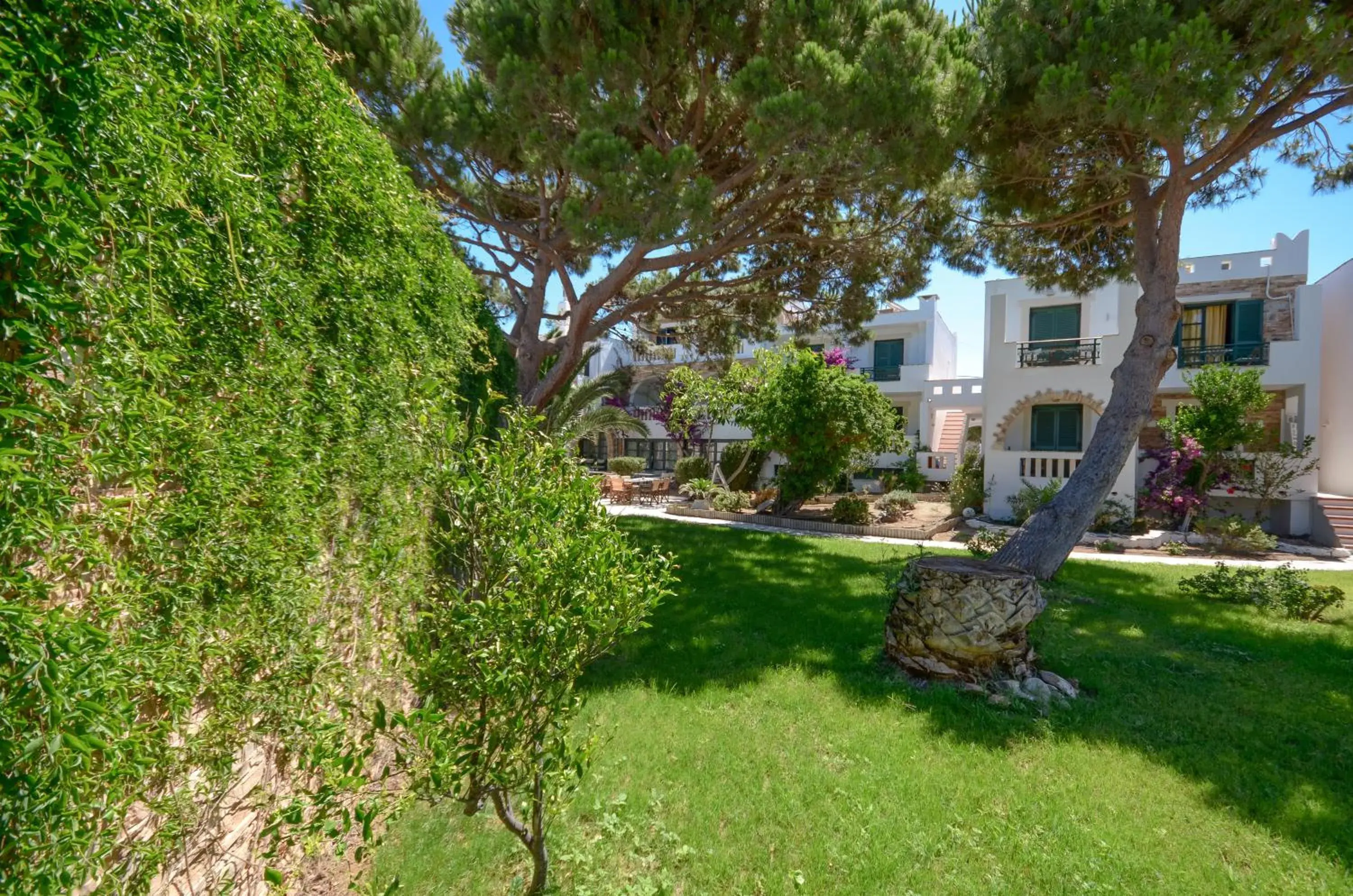 Garden, Property Building in Naxos Beach Hotel