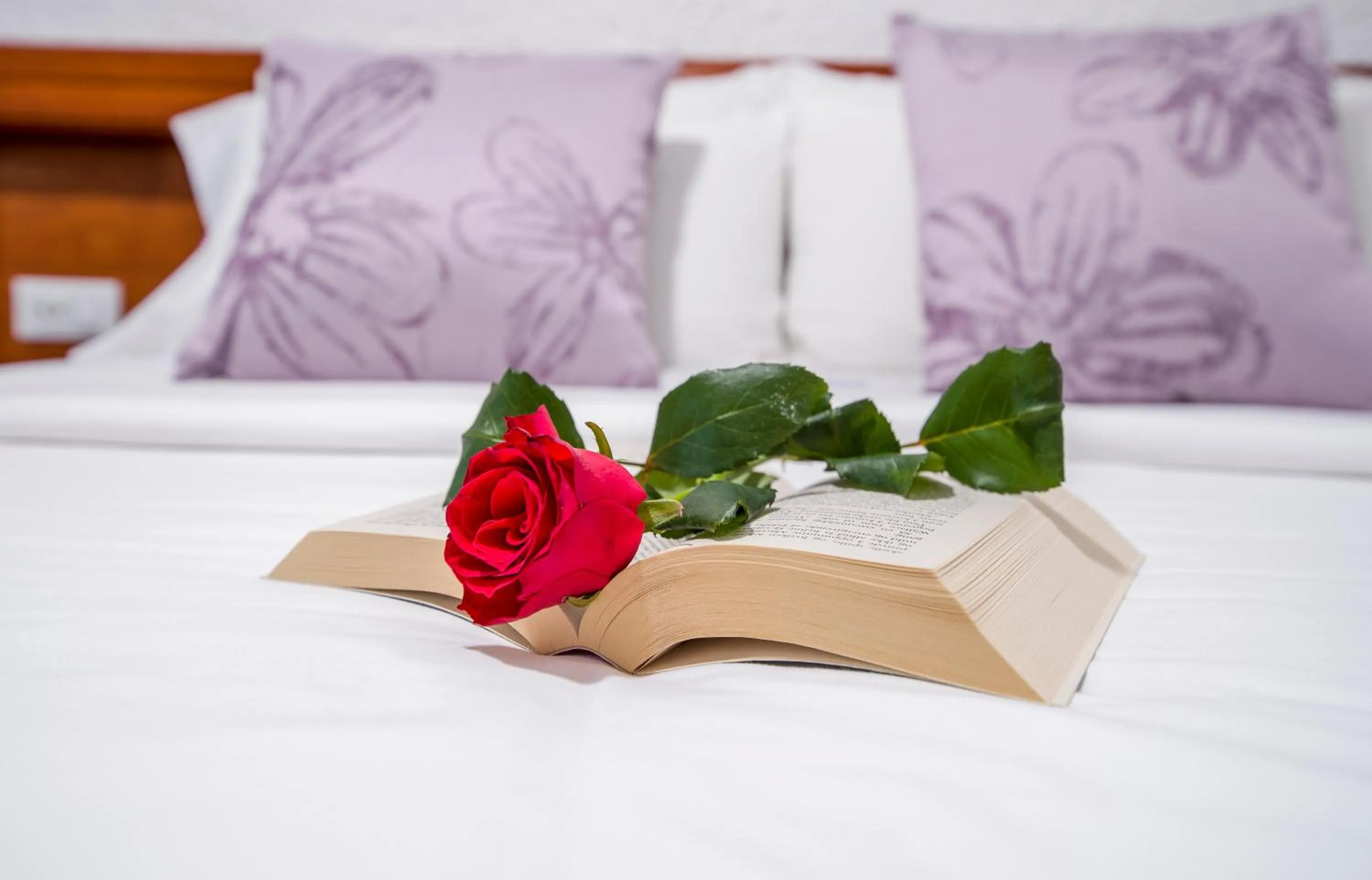 Bed in Folia Apartments Chania