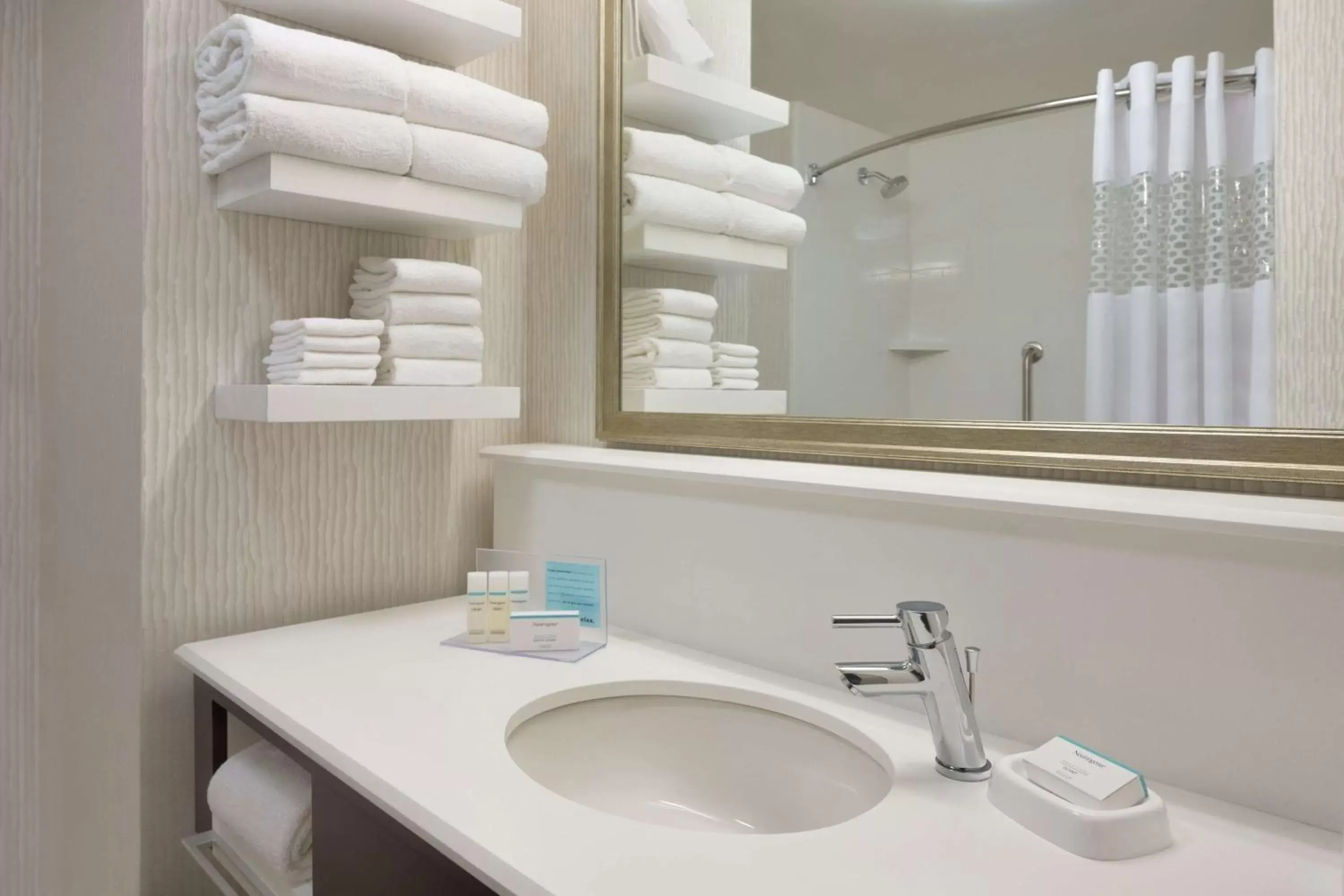 Bathroom in Hampton Inn & Suites Rosemont Chicago O'Hare