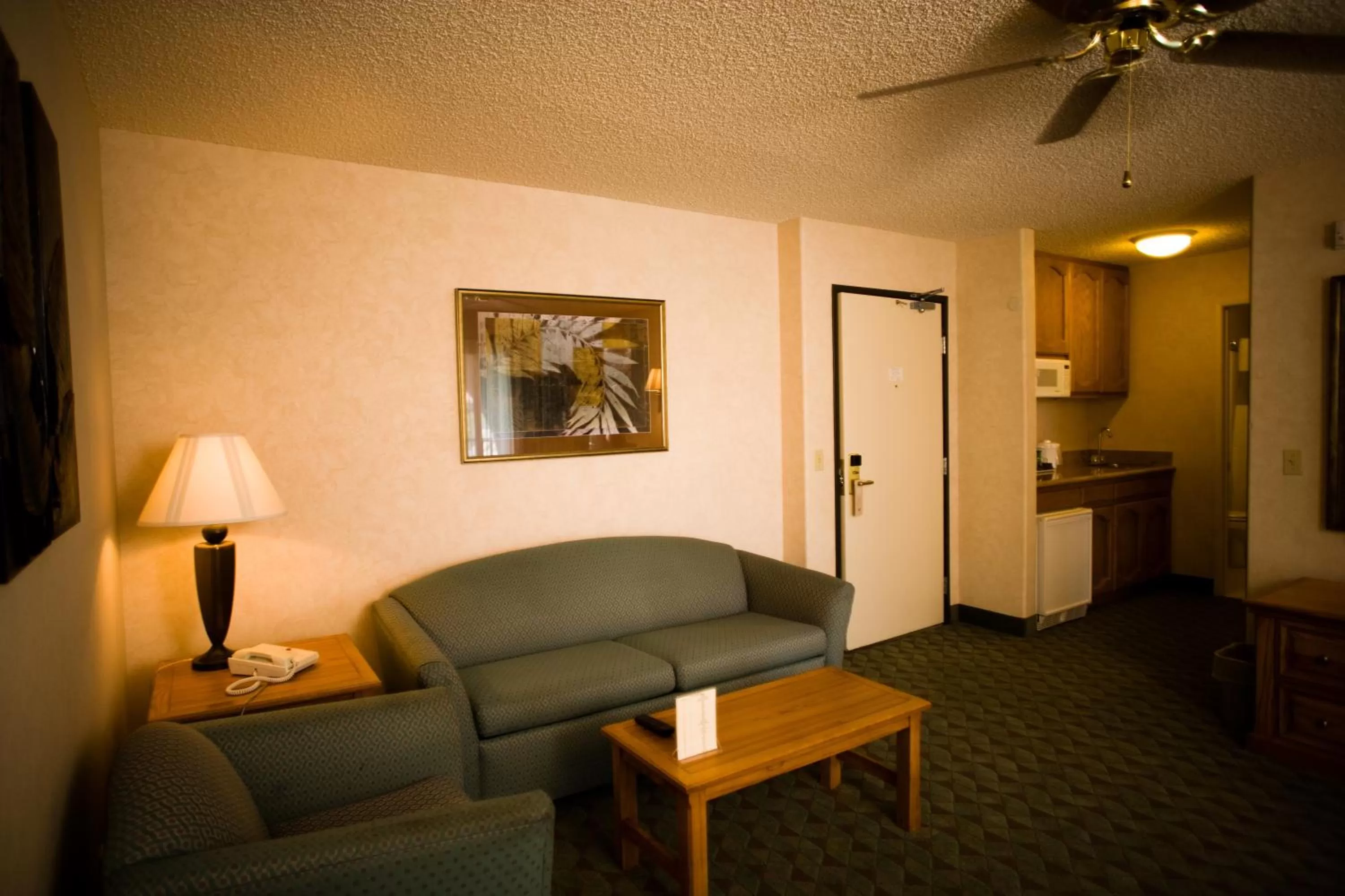 Living room in Borrego Springs Resort