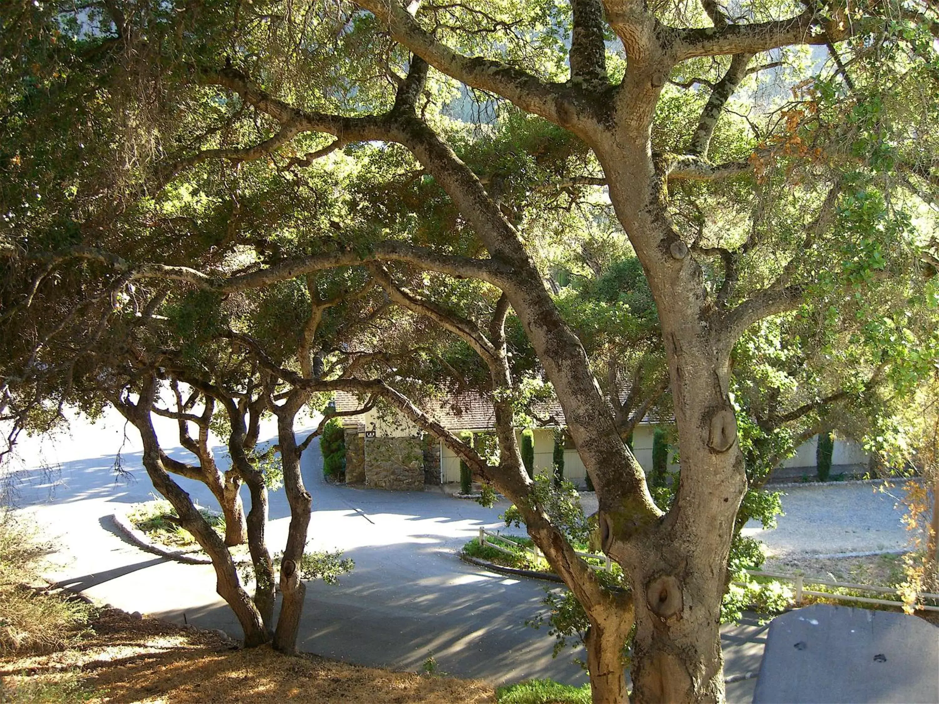 Natural landscape in Hidden Valley Inn