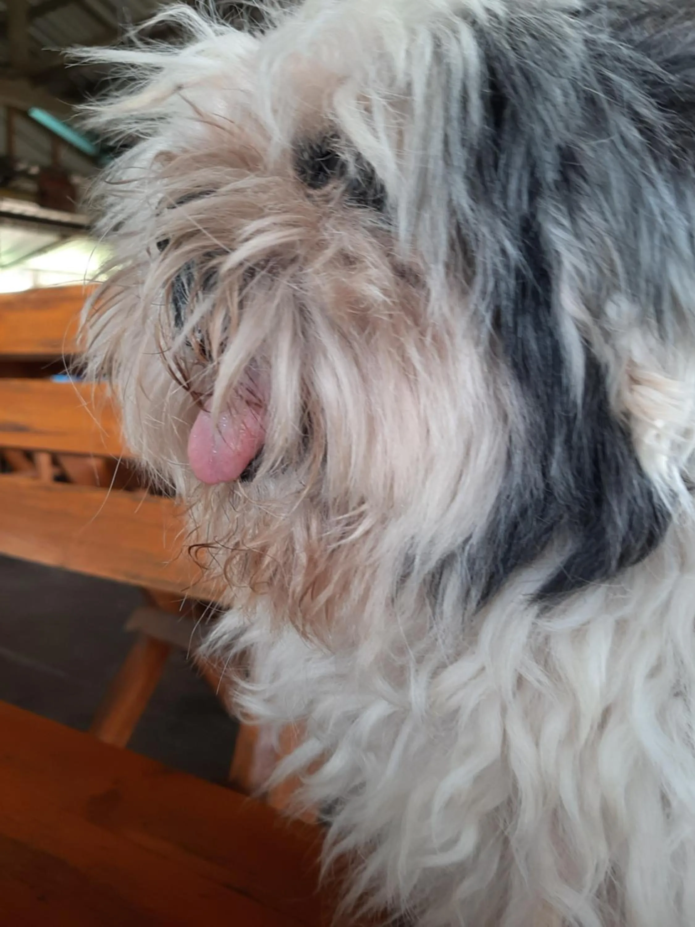 Vanlisut Hotel Ngamwongwan