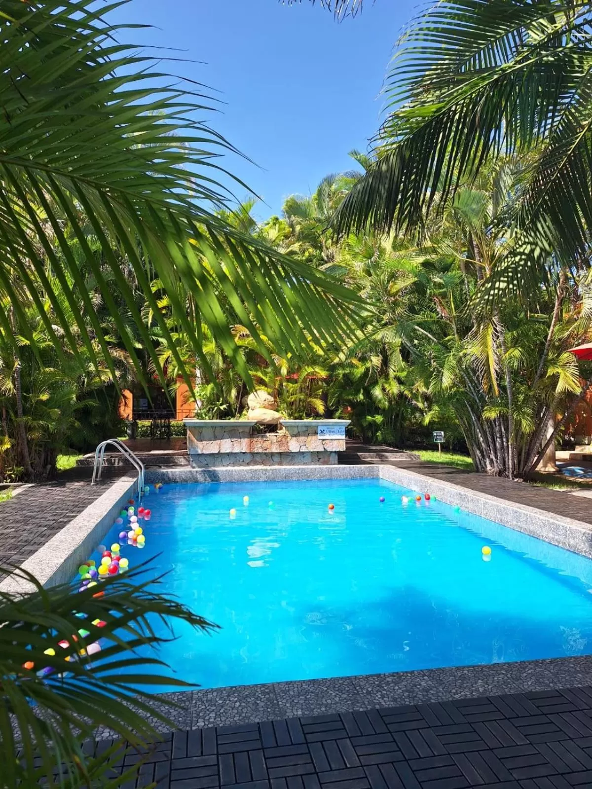 Day in Hotel Palmareca