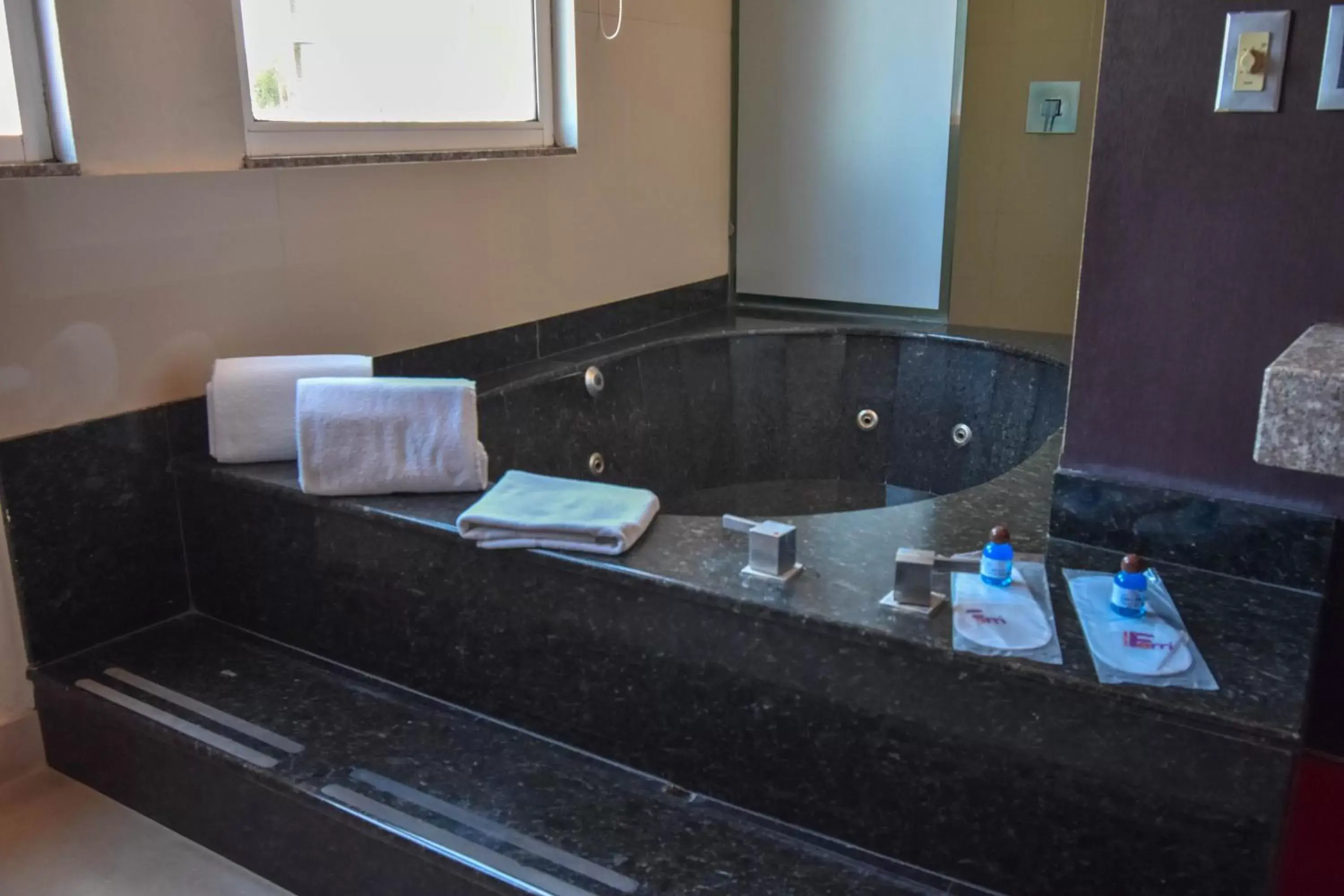 Area and facilities, Bathroom in Hotel Via La Villa