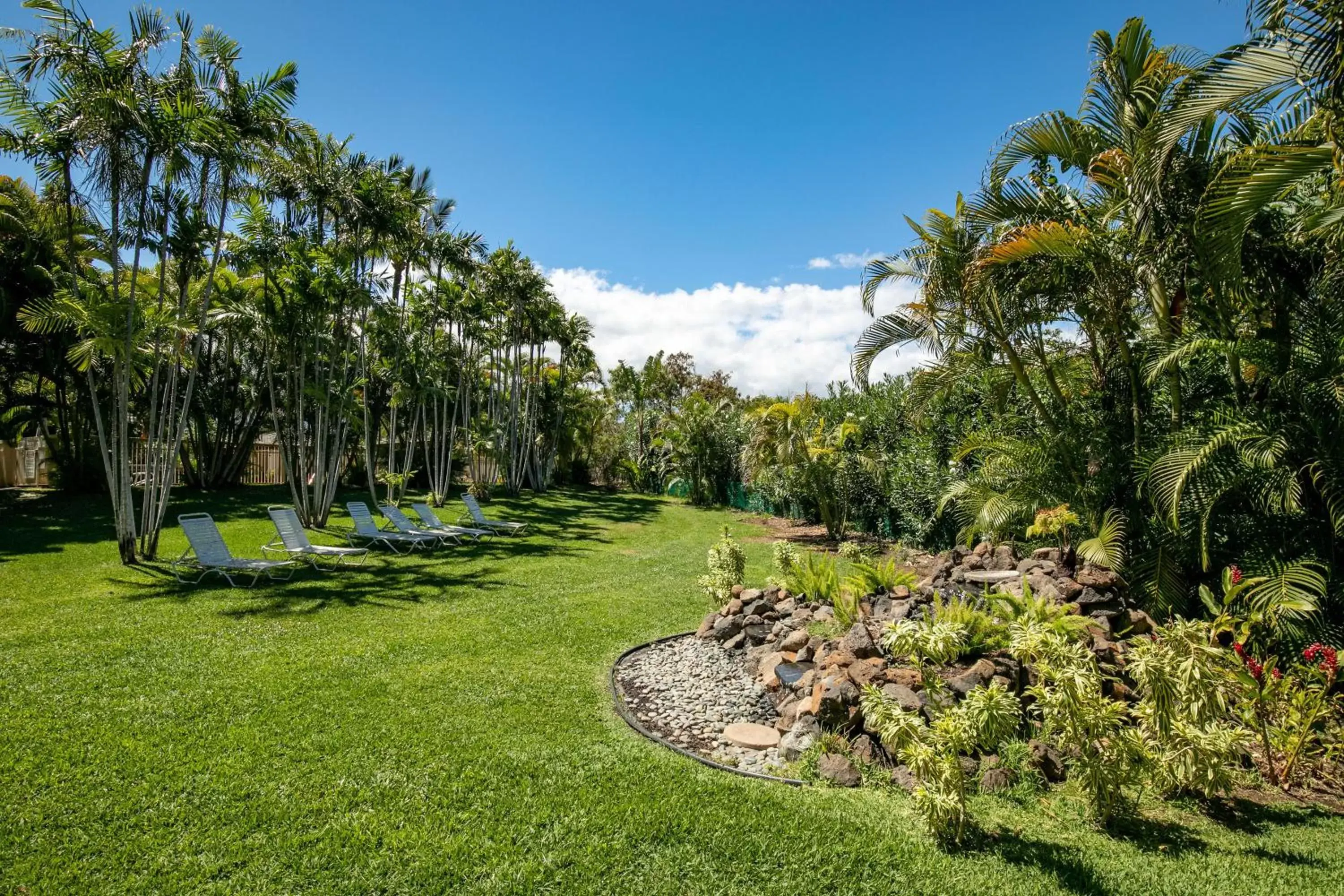 Garden in Aston at the Maui Banyan