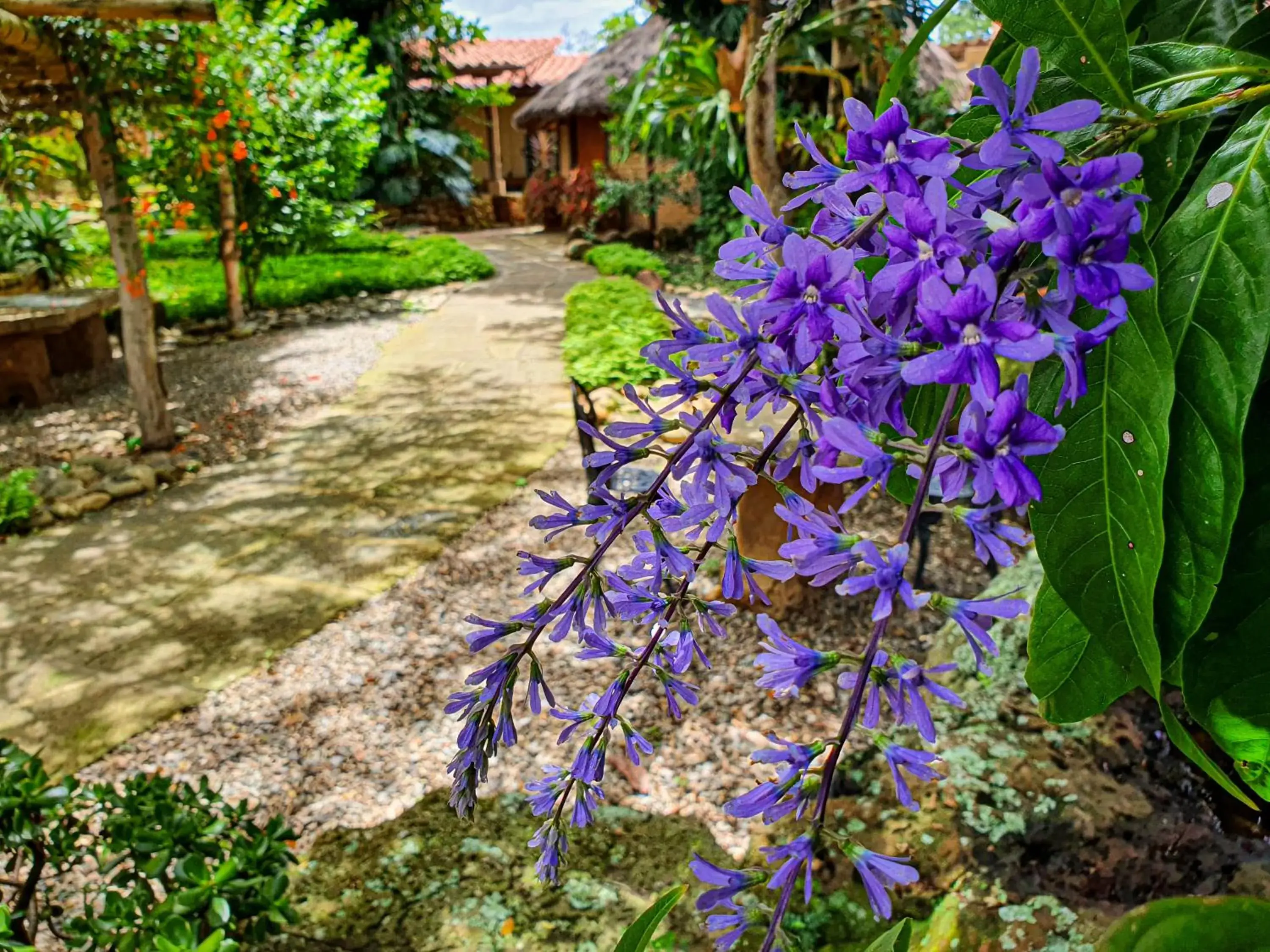 Natural landscape in Hotel Terra Barichara