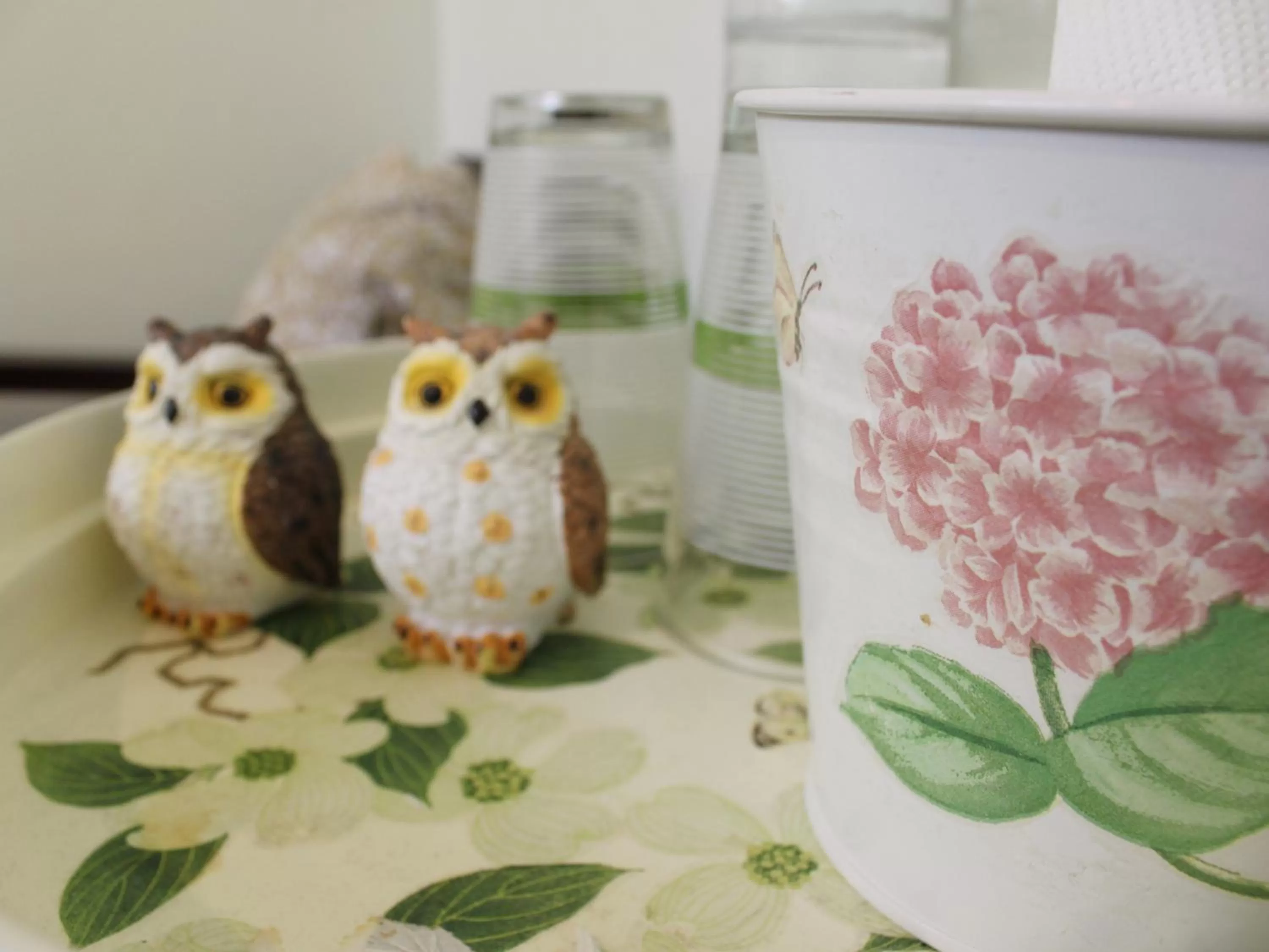 Photo of the whole room in Lada House