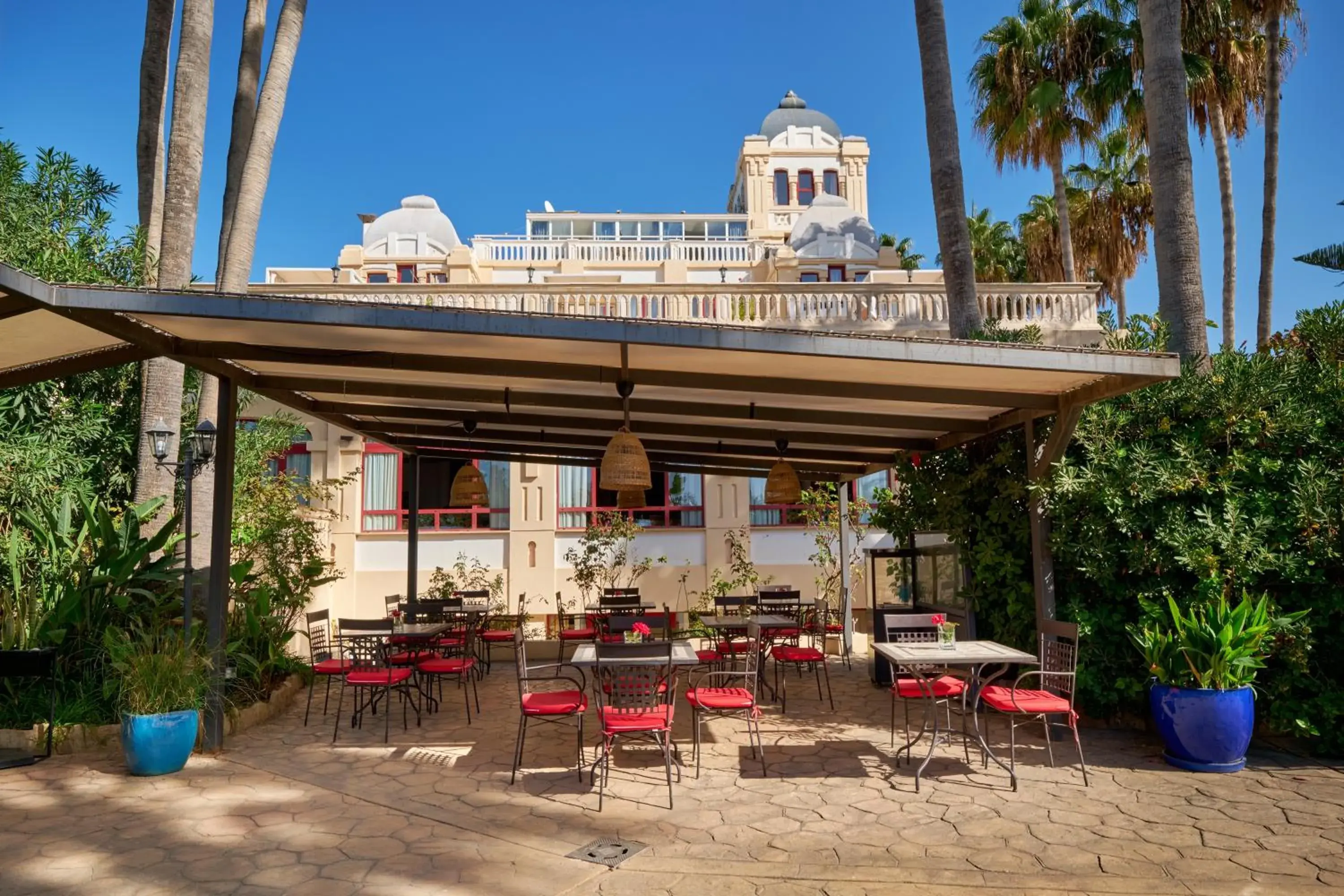 Garden in Hotel Ciutat Jardi