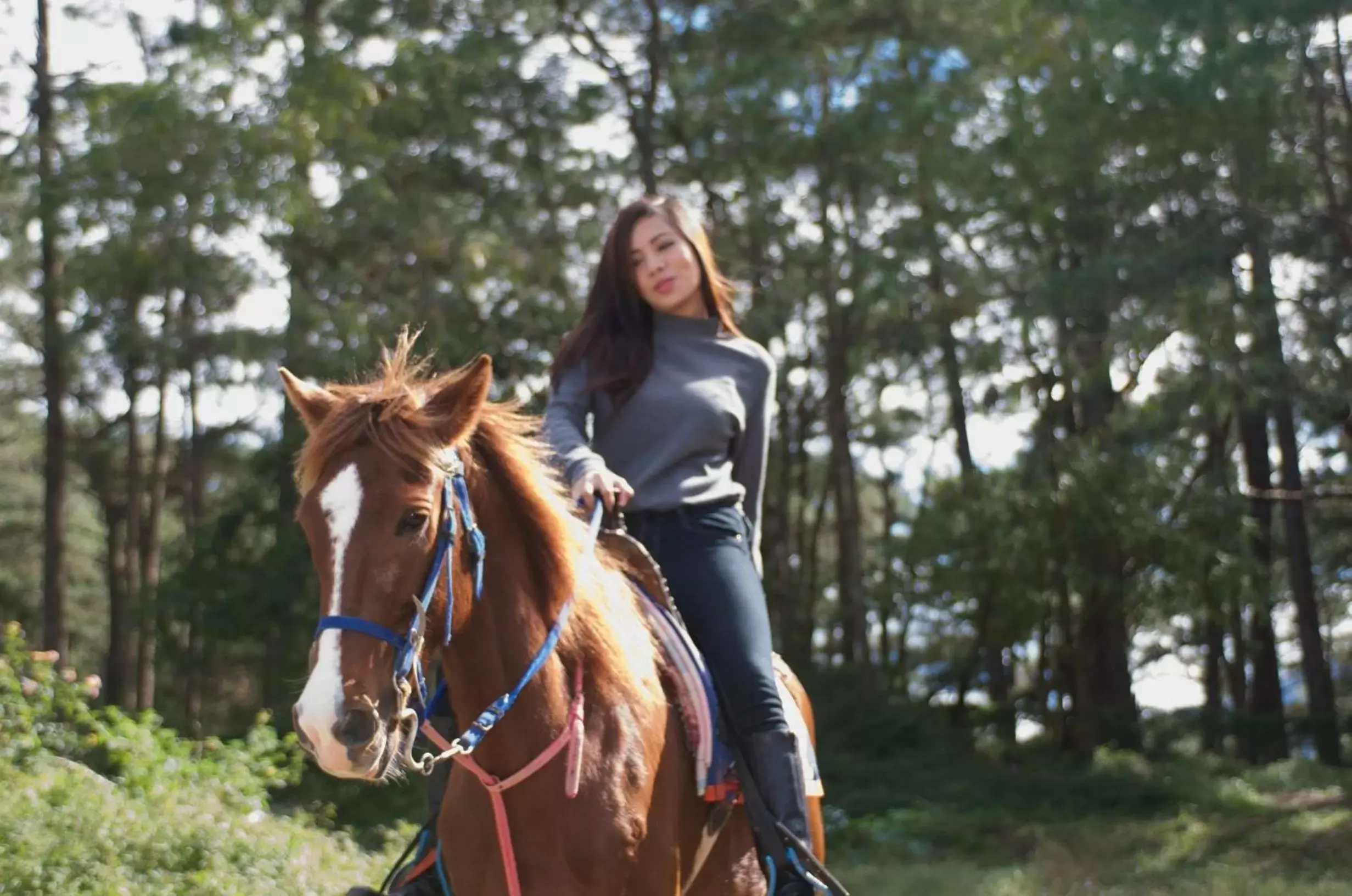 People, Horseback Riding in Baguio Holiday Villas